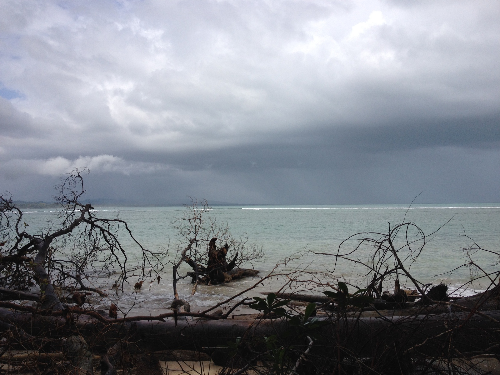 รูปถ่าย คอสตาริกา(Costa Rica) กาอุยตา(Cahuita) 2015-03 54