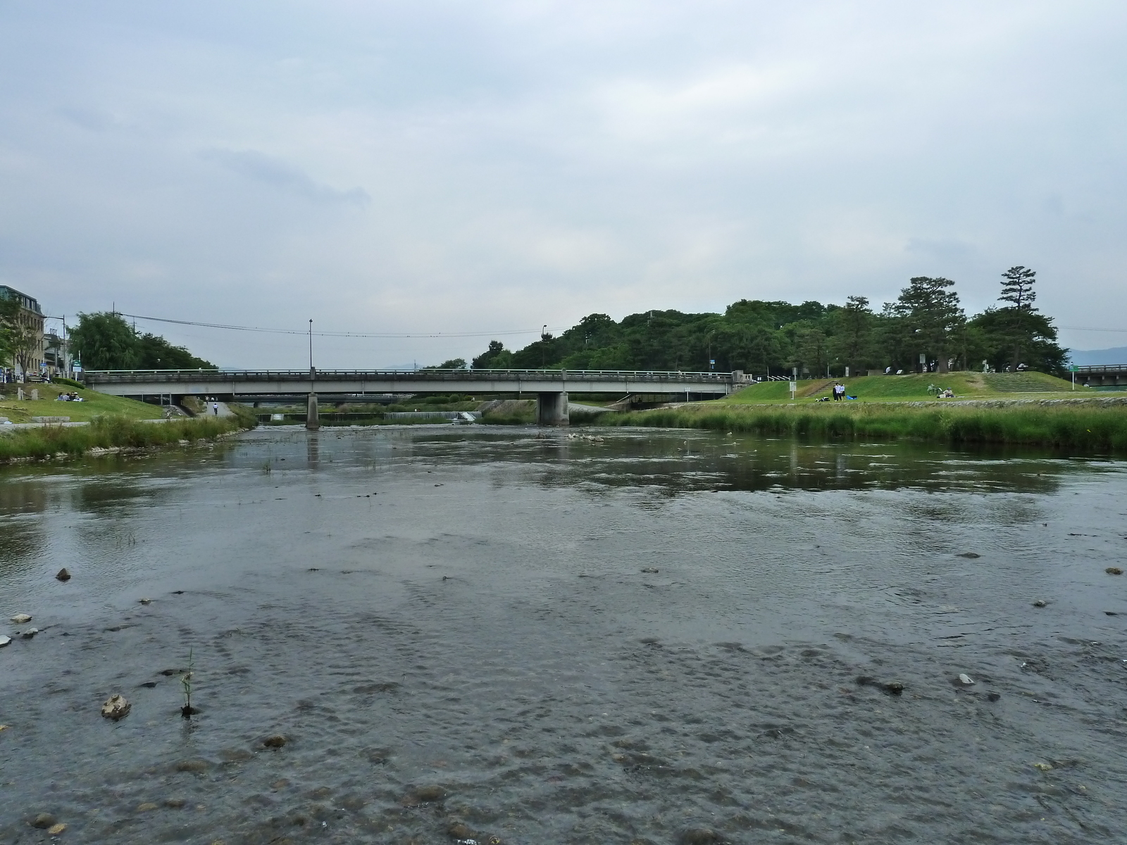 รูปถ่าย ญี่ปุ่น(Japan) เกียวโต(Kyoto) แม่น้ำคาโมะ(Kamo River) 2010-06 30