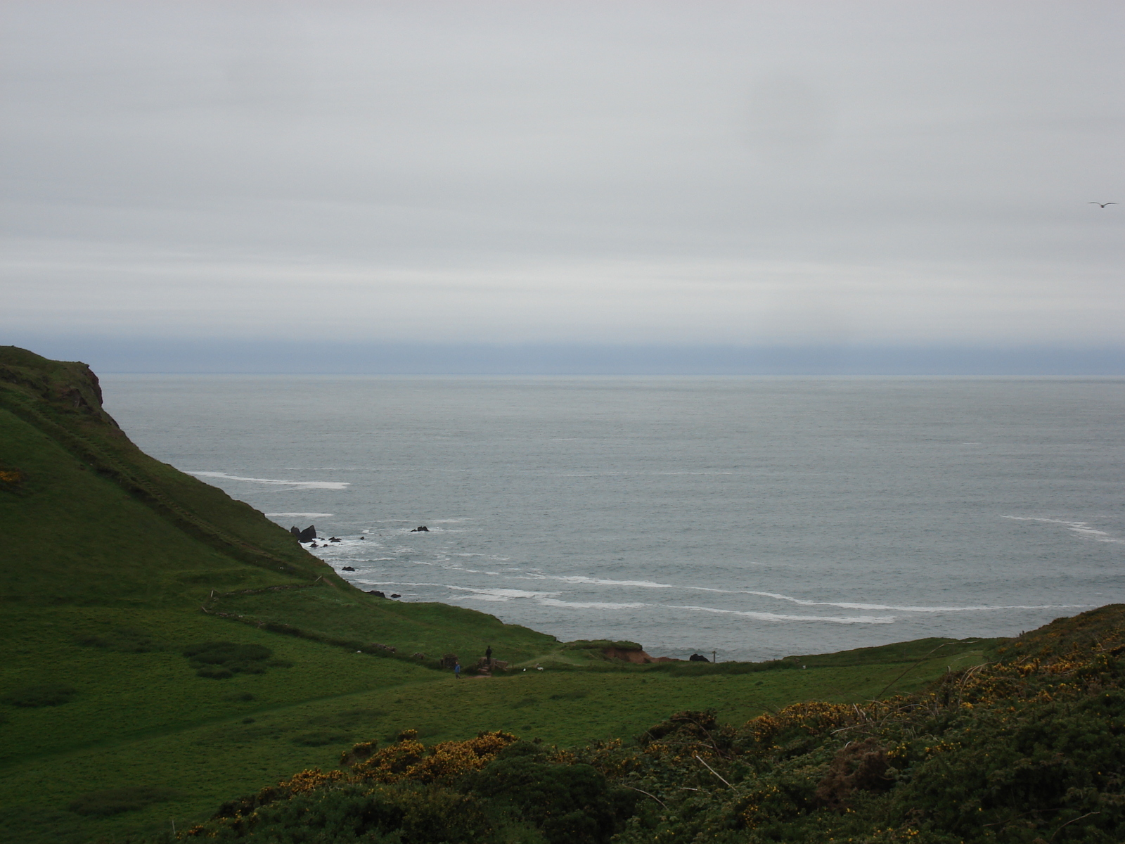 รูปถ่าย อังกฤษ(United Kingdom) เปมโบรคเชอร์(Pembrokeshire) แหลมเซนต์แอนส์(St. Ann's Head) 2006-05 5