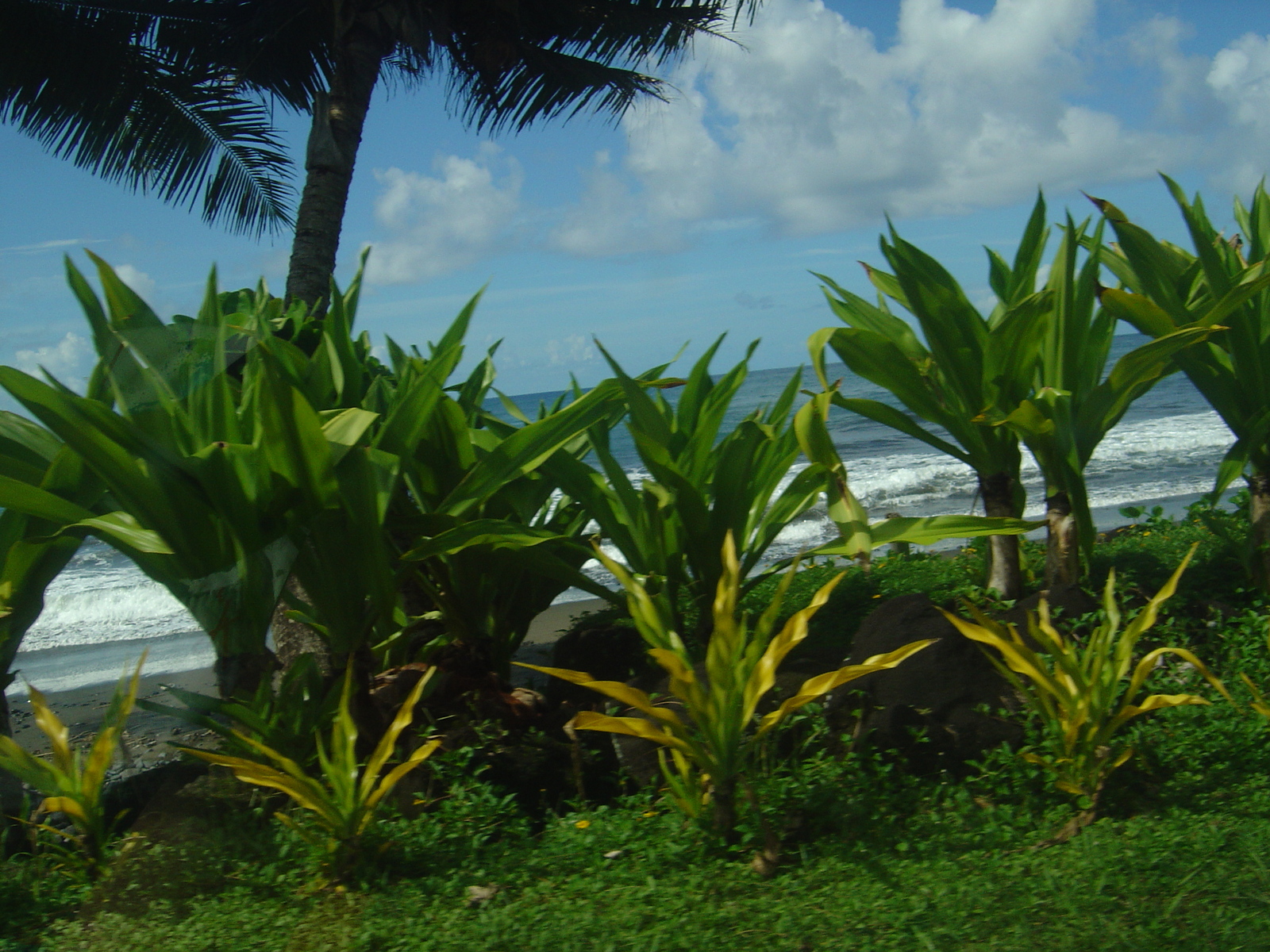 รูปถ่าย เฟรนช์โพลี่นีเซีย(Polynesia) ตาฮิติ(Tahiti) 2006-04 69