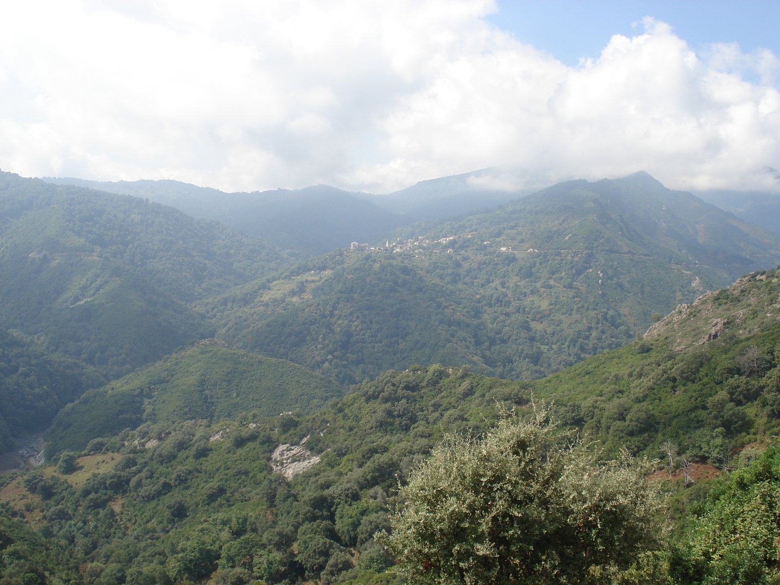 รูปถ่าย ฝรั่งเศส(France) คอร์สิคา(Corsica) วัลเล-ดาเลซานี(Valle d'alesani) 2006-09 66