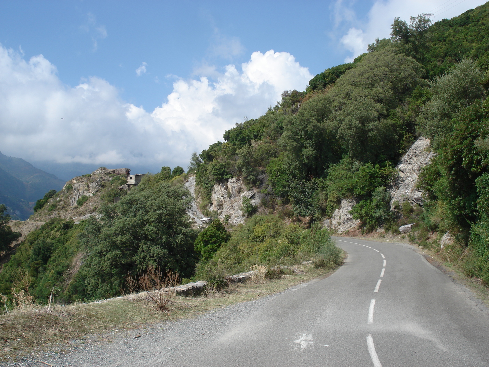 รูปถ่าย ฝรั่งเศส(France) คอร์สิคา(Corsica) วัลเล-ดาเลซานี(Valle d'alesani) 2006-09 51
