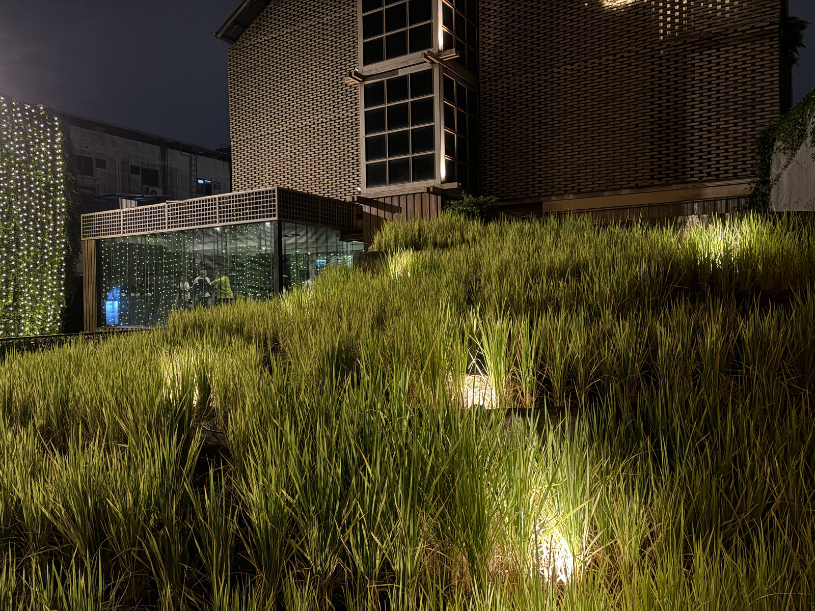 รูปถ่าย ไทย(Thailand) เชียงใหม่(Chiang Mai) 2024-12 179