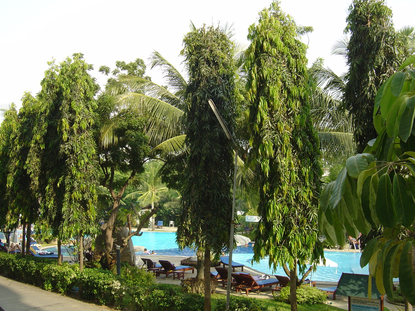 รูปถ่าย ไทย(Thailand) หาดจอมเทียน(Jomtien Beach) โรงแรมแกรนด์จอมเทียนพาเลซ(Grand Jomtien Palace Hotel) 2004-10 15
