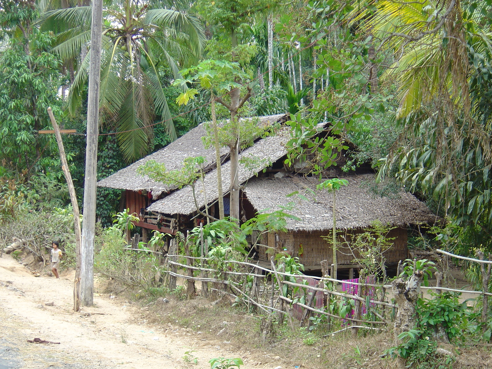 รูปถ่าย พม่า(Myanmar) ถนนจากทวายไปหาดหม่องมะกัน(Road from Dawei to Maungmagan beach) 2005-01 18