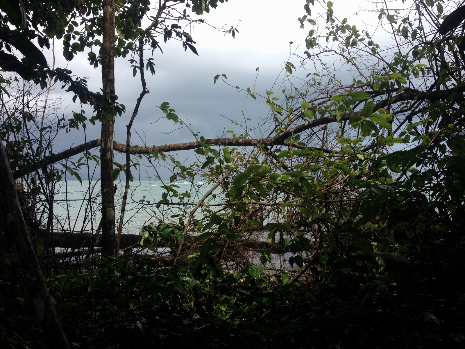 รูปถ่าย คอสตาริกา(Costa Rica) กาอุยตา(Cahuita) 2015-03 40