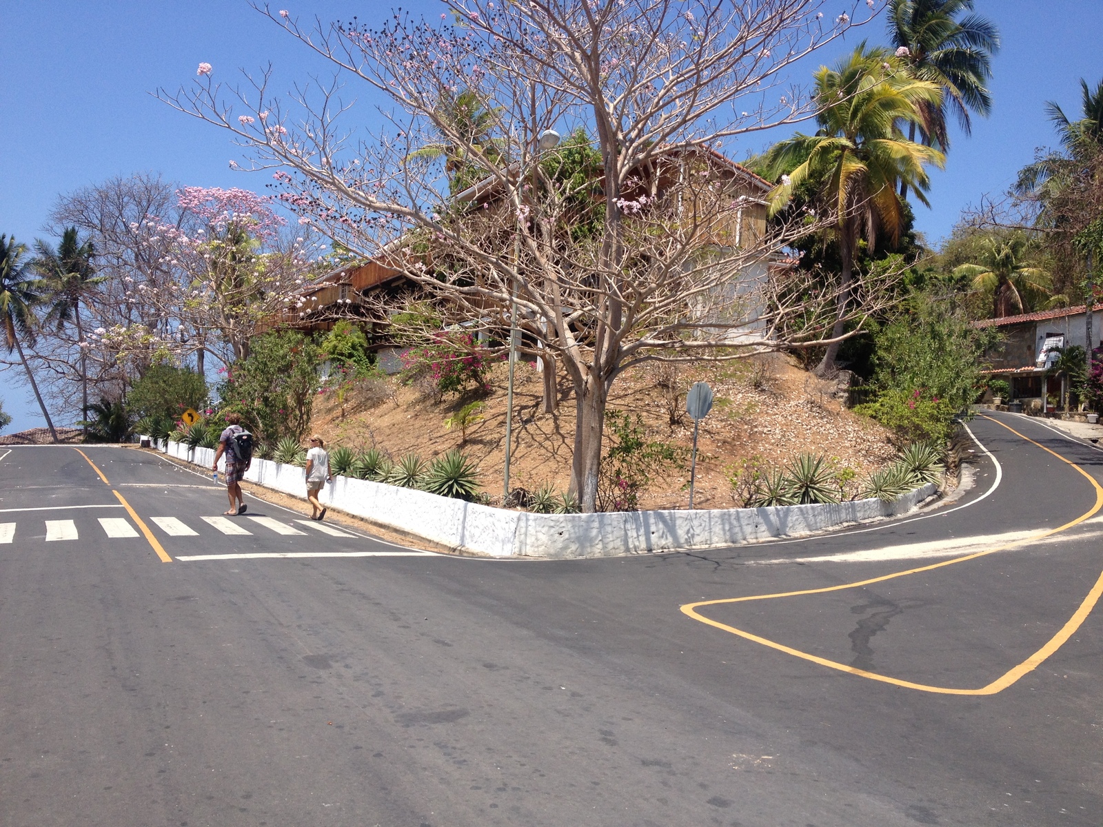 รูปถ่าย ปานามา(Panama) เกาะคอนตาโดรา(Contadora Island) 2015-03 50