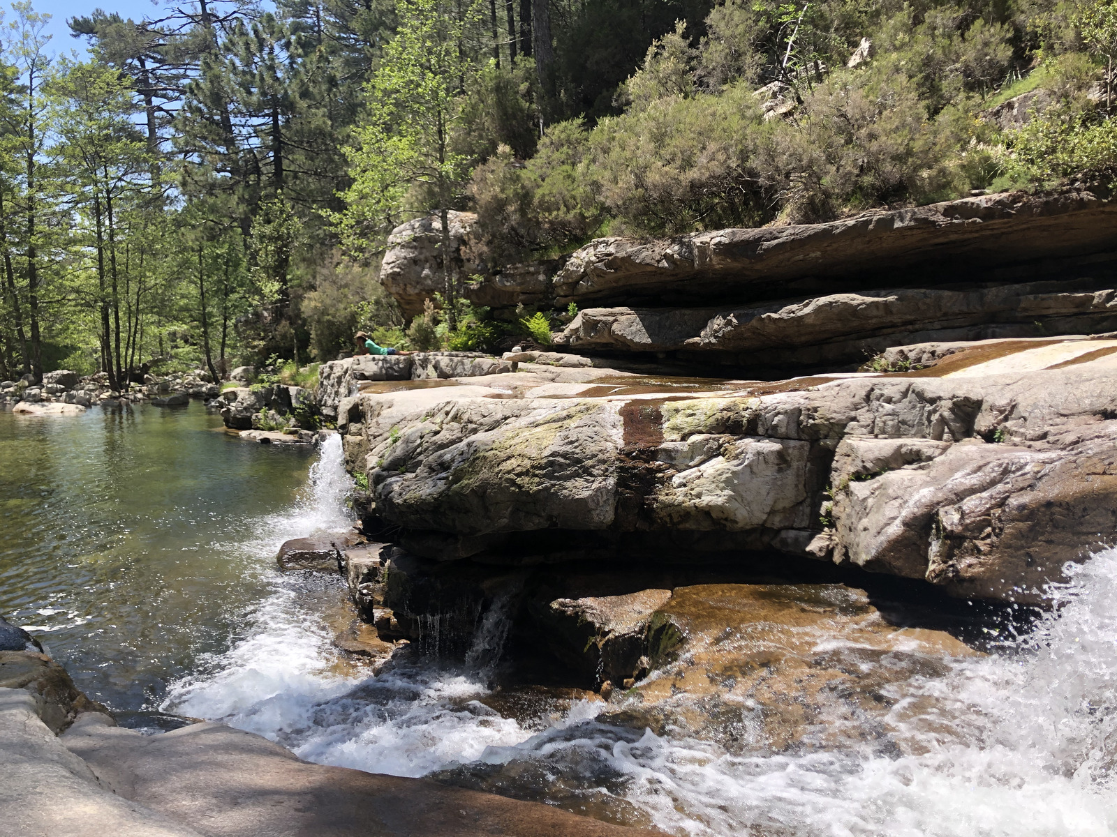 รูปถ่าย ฝรั่งเศส(France) คอร์สิคา(Corsica) ป่าไอโตเน(Aitone Forest) 2021-06 40