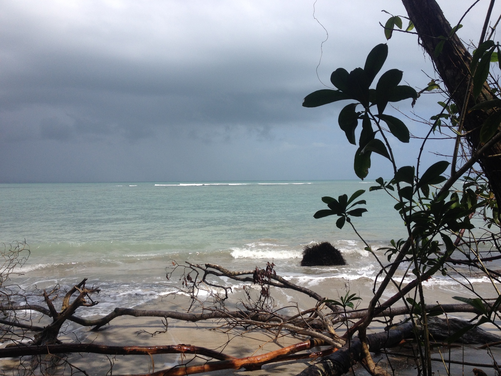 รูปถ่าย คอสตาริกา(Costa Rica) 2015-03 23