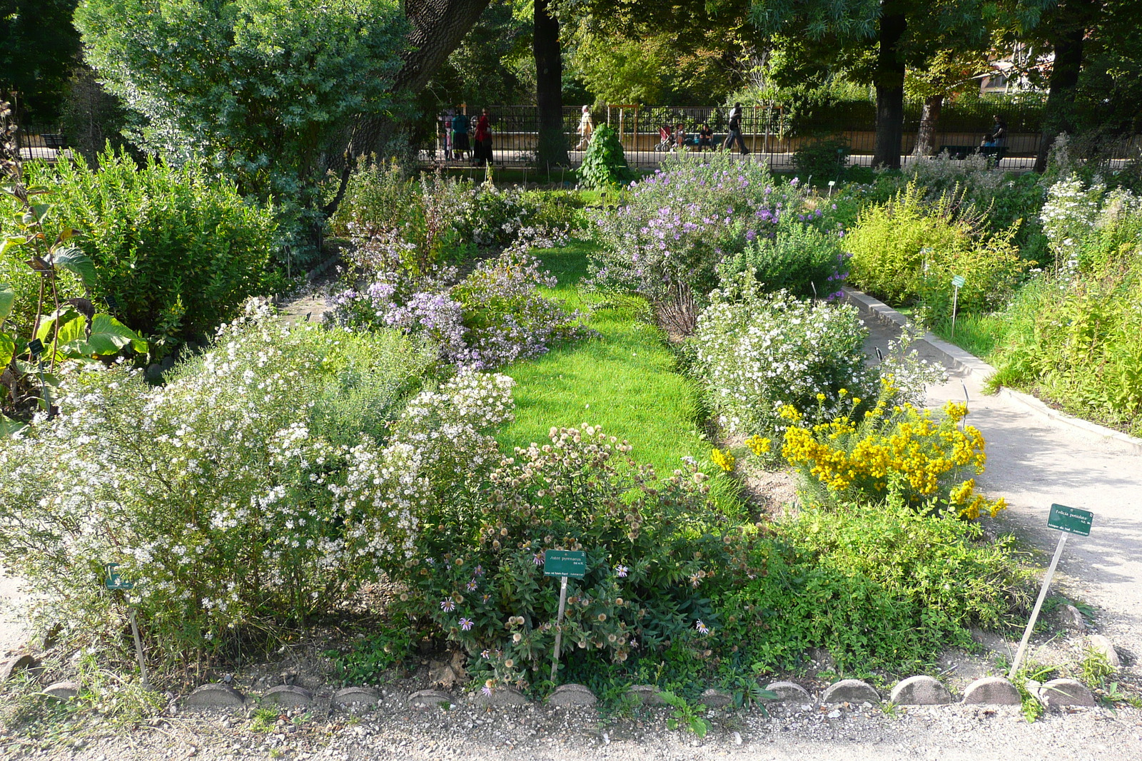 รูปถ่าย ฝรั่งเศส(France) ปารีส(Paris) สวนพันธ์ุพืช(Jardin des Plantes) 2007-08 97