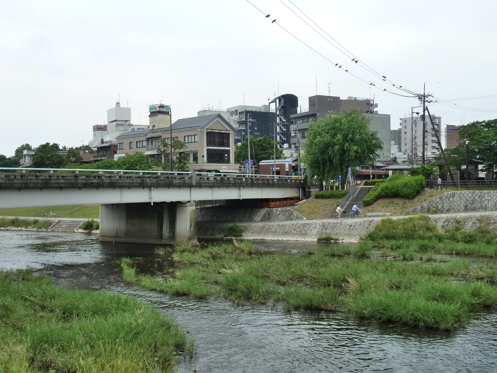 รูปถ่าย ญี่ปุ่น(Japan) เกียวโต(Kyoto) แม่น้ำคาโมะ(Kamo River) 2010-06 35