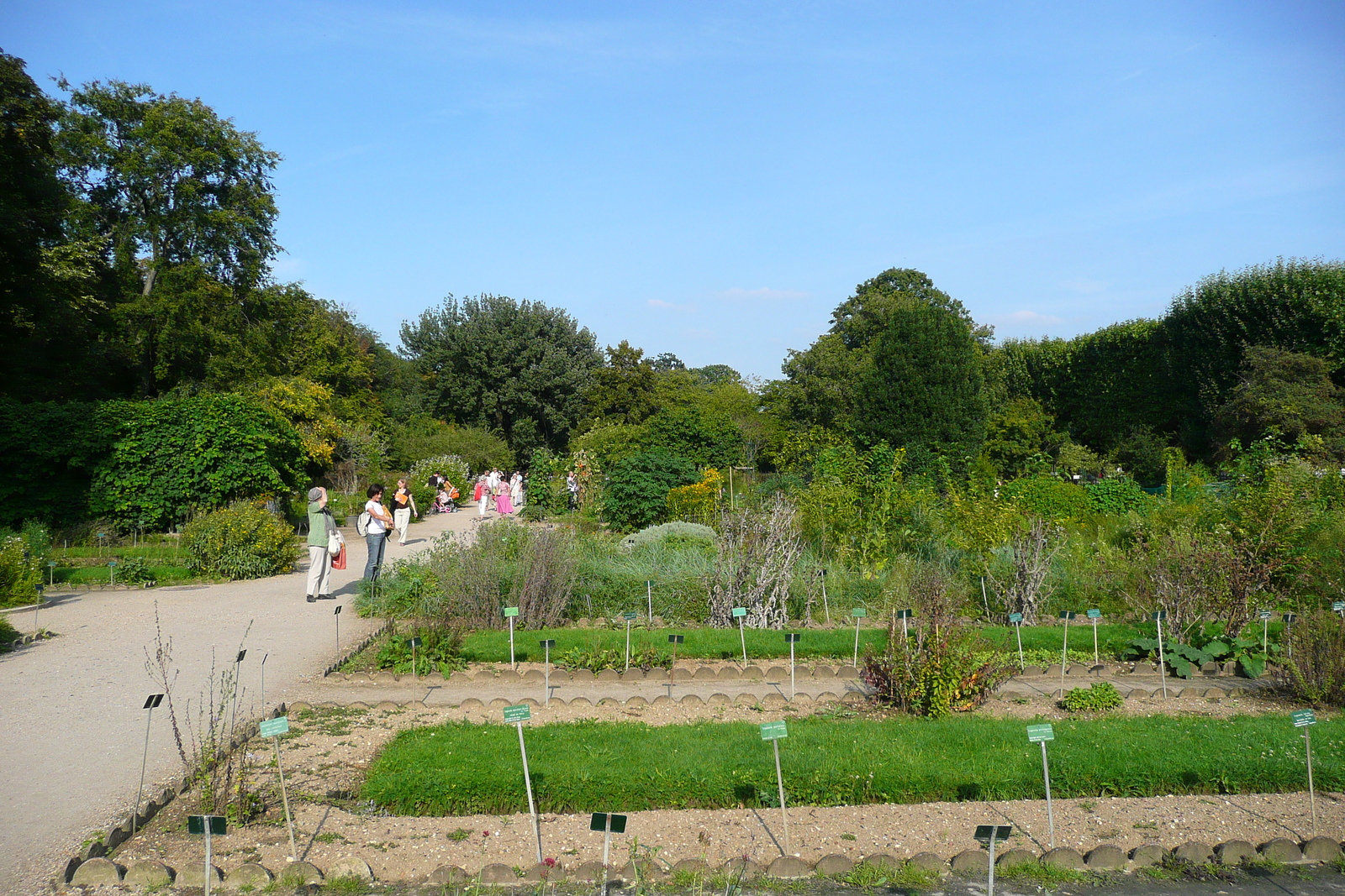 รูปถ่าย ฝรั่งเศส(France) ปารีส(Paris) สวนพันธ์ุพืช(Jardin des Plantes) 2007-08 96