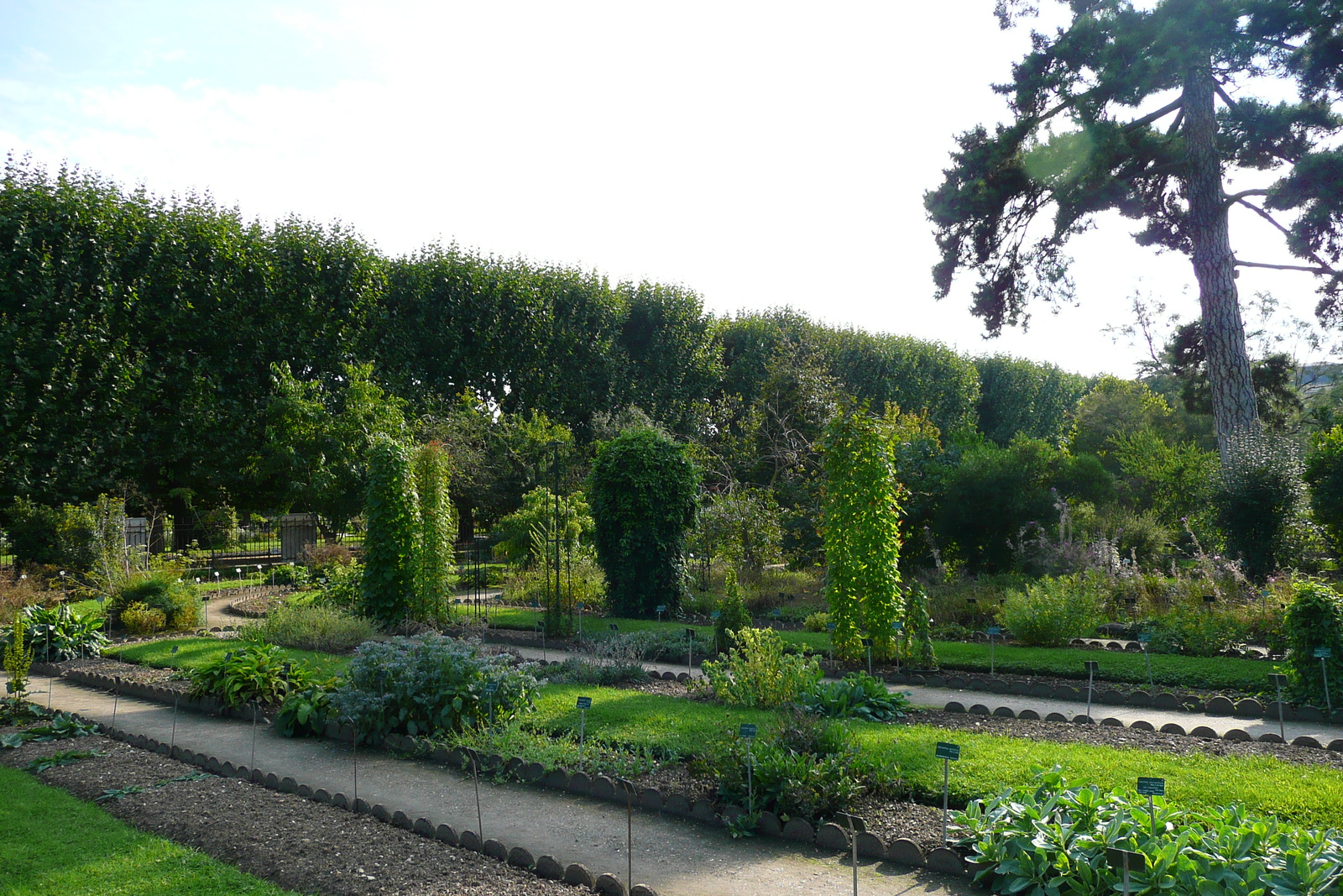 รูปถ่าย ฝรั่งเศส(France) ปารีส(Paris) สวนพันธ์ุพืช(Jardin des Plantes) 2007-08 83