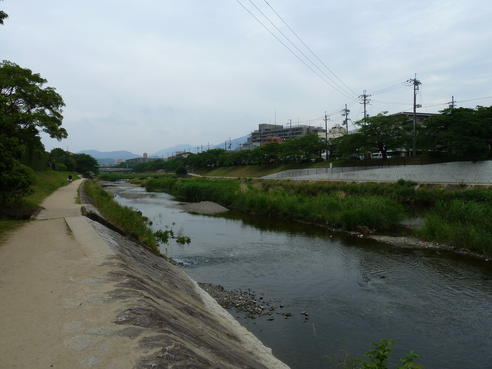 รูปถ่าย ญี่ปุ่น(Japan) เกียวโต(Kyoto) แม่น้ำคาโมะ(Kamo River) 2010-06 29