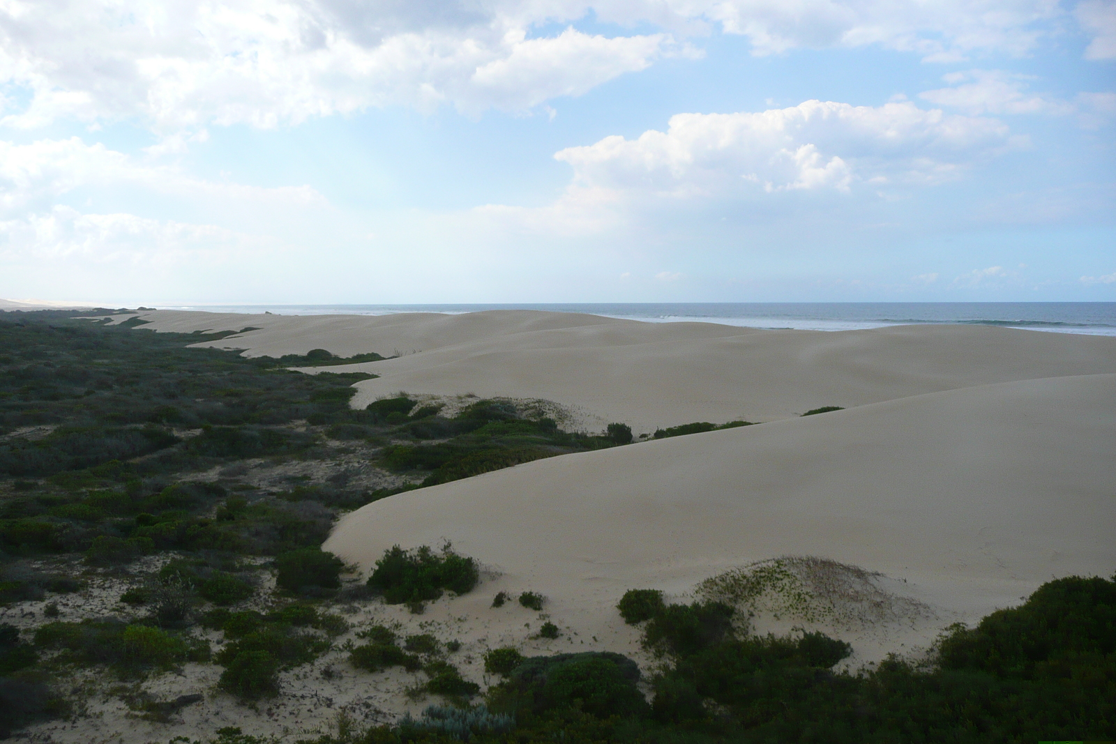 รูปถ่าย แอฟริกาใต้(South Africa) แม่น้ำซันเดส์(Sundays River) 2008-09 11