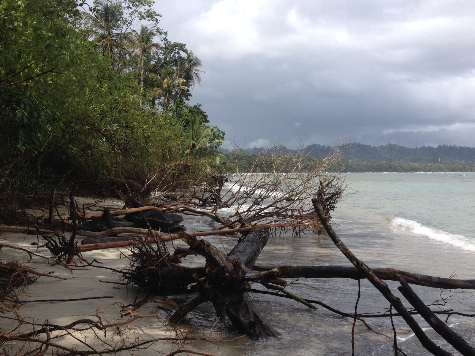 รูปถ่าย คอสตาริกา(Costa Rica) กาอุยตา(Cahuita) 2015-03 243