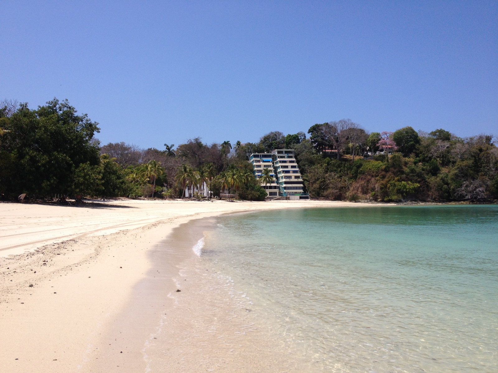 รูปถ่าย ปานามา(Panama) เกาะคอนตาโดรา(Contadora Island) 2015-03 89