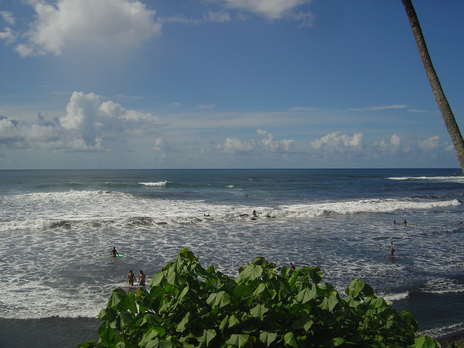 รูปถ่าย เฟรนช์โพลี่นีเซีย(Polynesia) ตาฮิติ(Tahiti) 2006-04 49