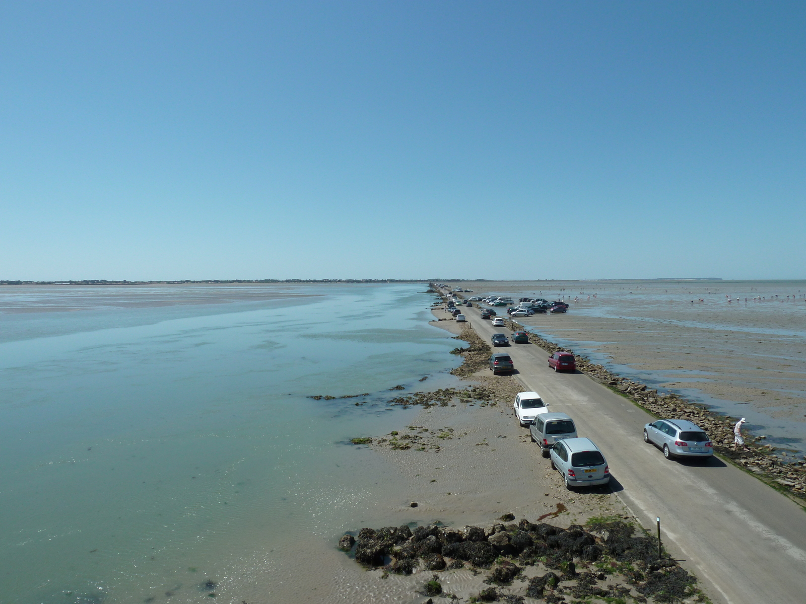 รูปถ่าย ฝรั่งเศส(France) นีวร์มูทีเย(Noirmoutier) 2010-07 42