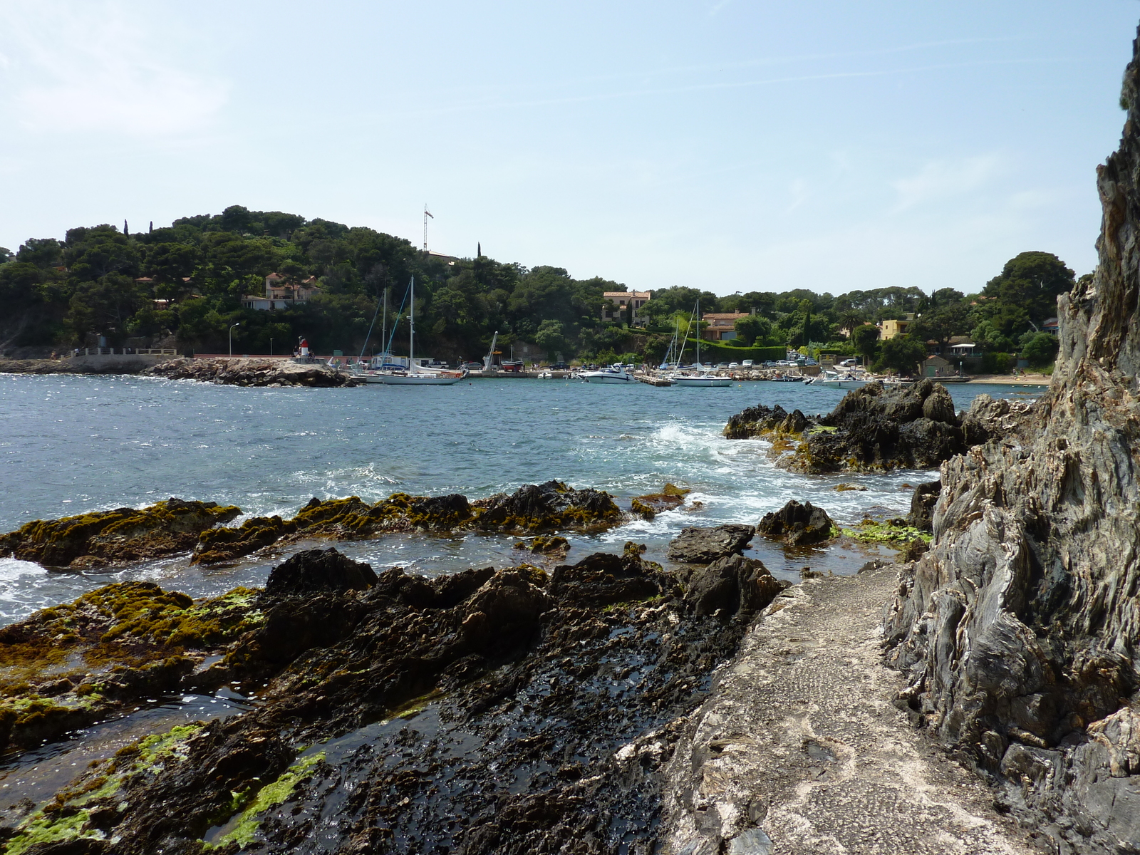 รูปถ่าย ฝรั่งเศส(France) คาบสมุทรเยียง(Giens Peninsula) 2009-05 29