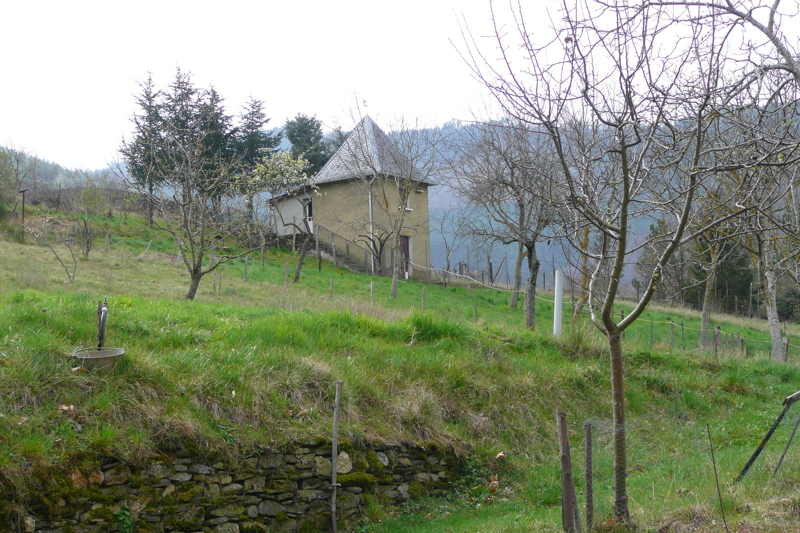 รูปถ่าย ฝรั่งเศส(France) โกกูแรส(Cocures) 2008-04 24