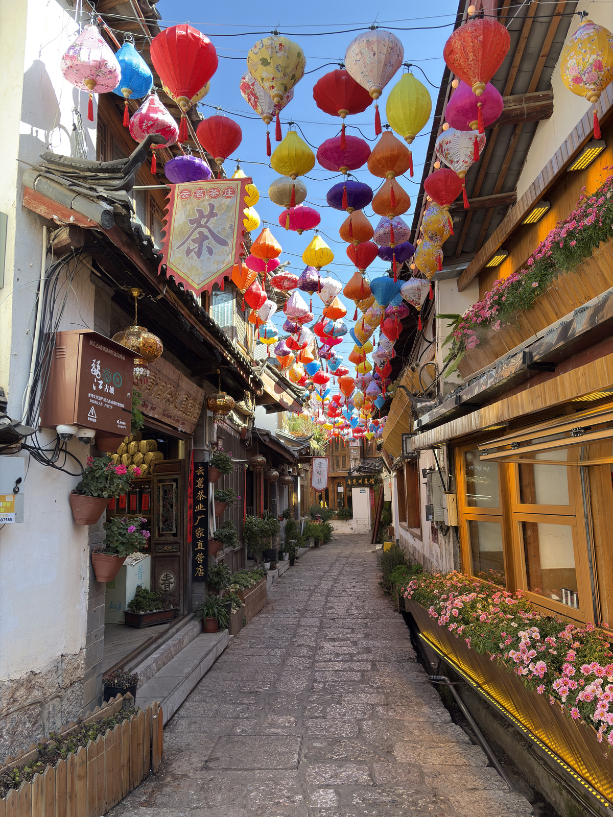 รูปถ่าย จีน(China) ลี่เจียง(Lijiang) 2026-01 523