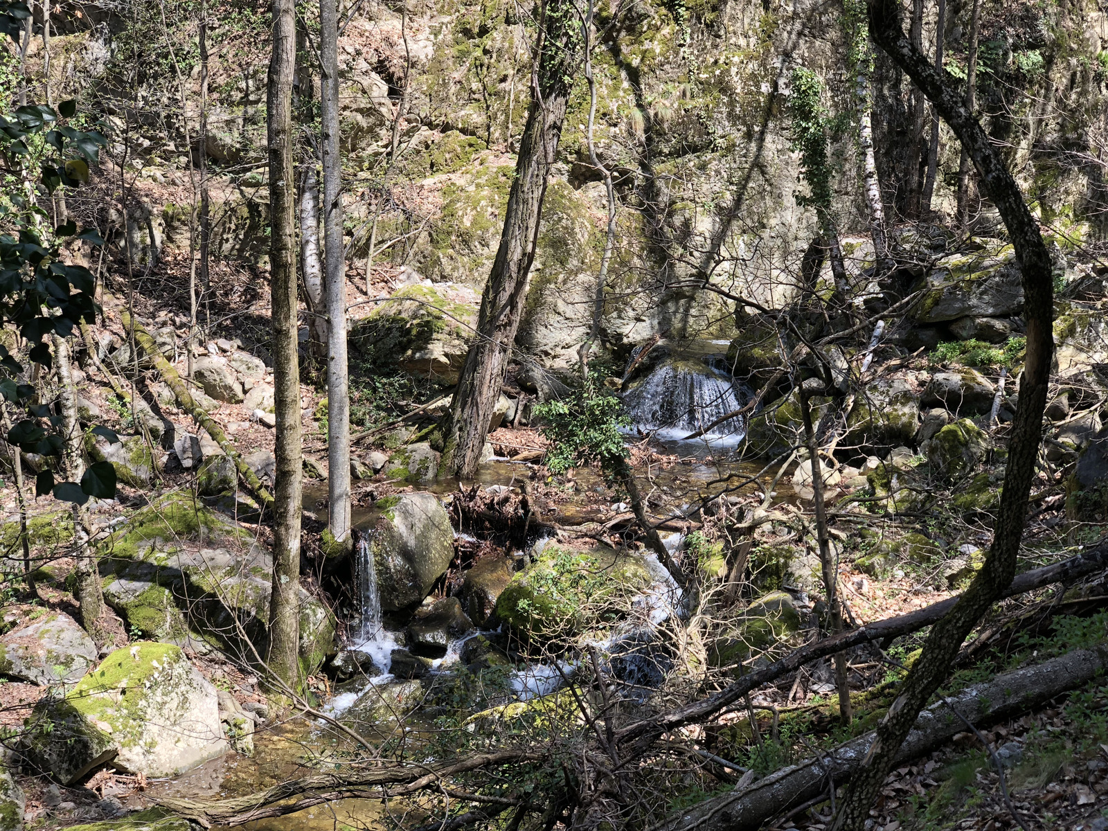 รูปถ่าย ฝรั่งเศส(France) แอบบีแซ็งมาร์แต็งดูกานีกู(Abbaye Saint Martin du Canigou) 2018-04 126