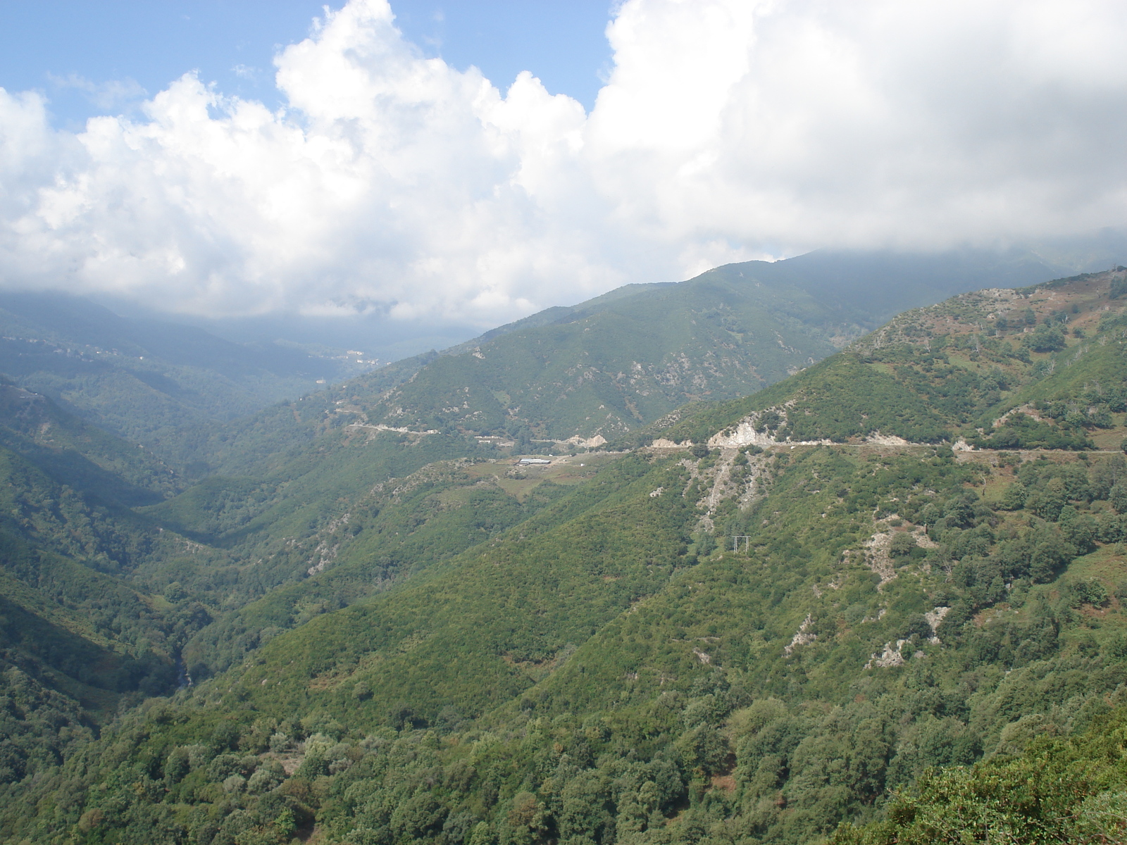 รูปถ่าย ฝรั่งเศส(France) คอร์สิคา(Corsica) วัลเล-ดาเลซานี(Valle d'alesani) 2006-09 49