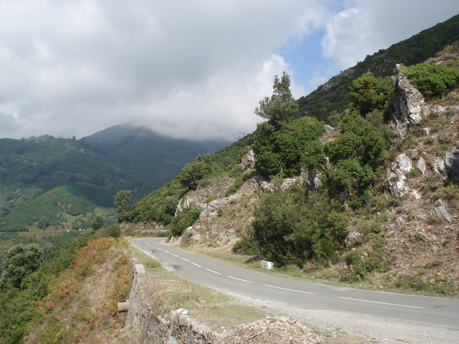 รูปถ่าย ฝรั่งเศส(France) คอร์สิคา(Corsica) วัลเล-ดาเลซานี(Valle d'alesani) 2006-09 54