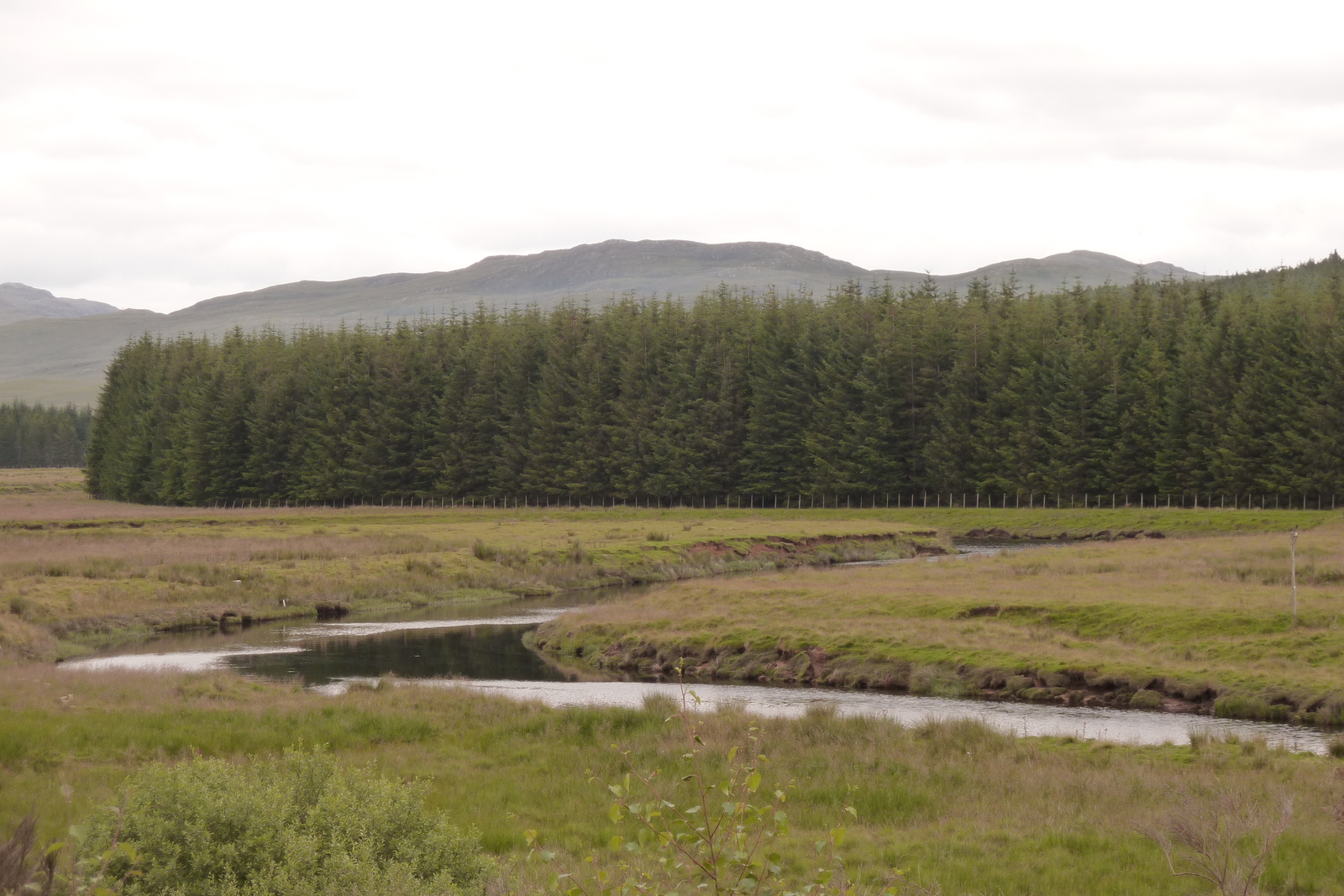 รูปถ่าย อังกฤษ(United Kingdom) เวสเตอร์รอสส์(Wester Ross) 2011-07 121