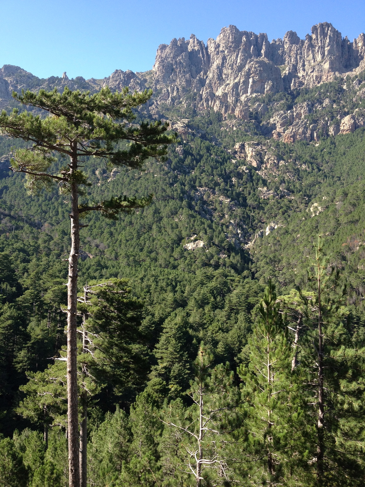 รูปถ่าย ฝรั่งเศส(France) คอร์สิคา(Corsica) บาแวลลา(Bavella) 2012-09 3