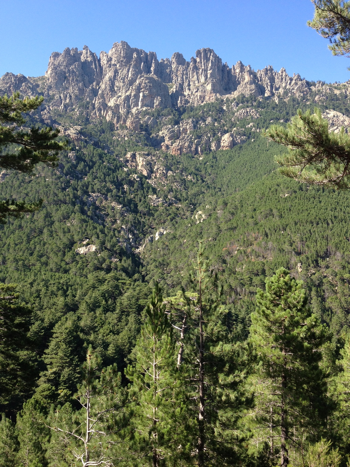 รูปถ่าย ฝรั่งเศส(France) คอร์สิคา(Corsica) บาแวลลา(Bavella) 2012-09 10