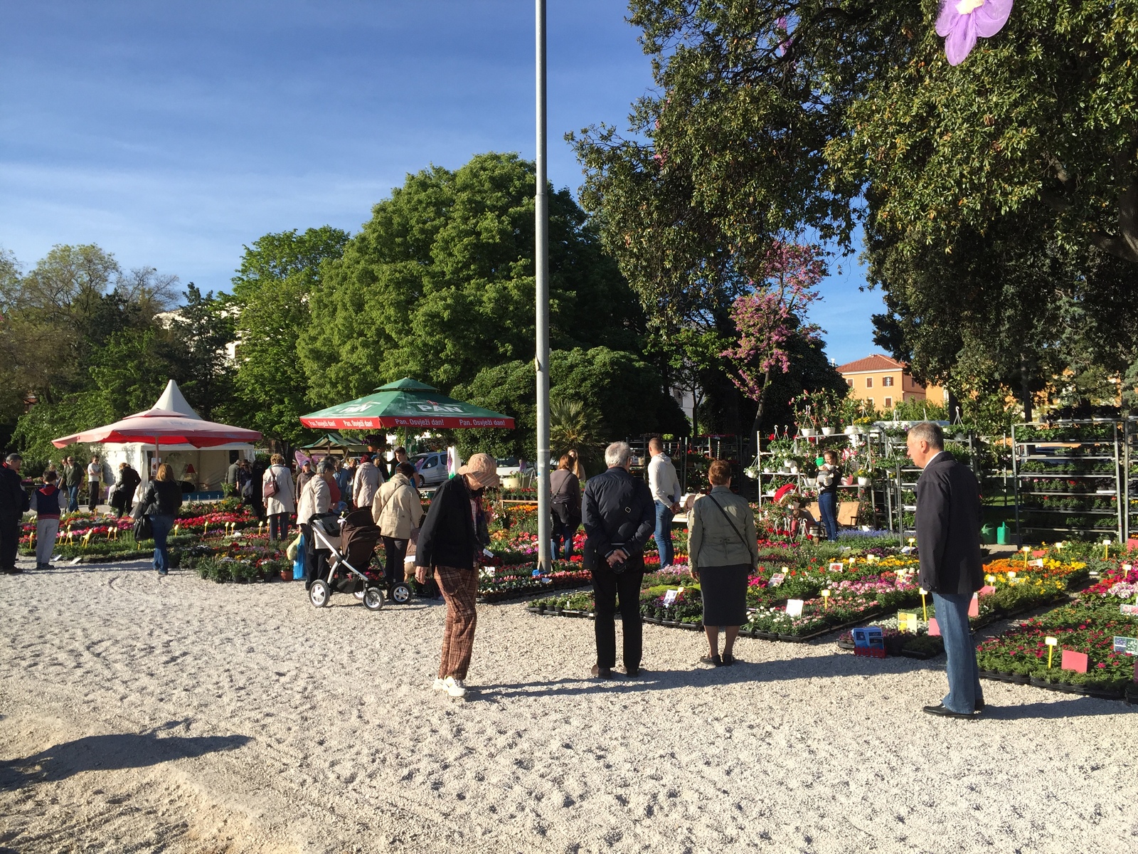 รูปถ่าย โครเอเชีย(Croatia) ซาดาร์(Zadar) 2016-04 8