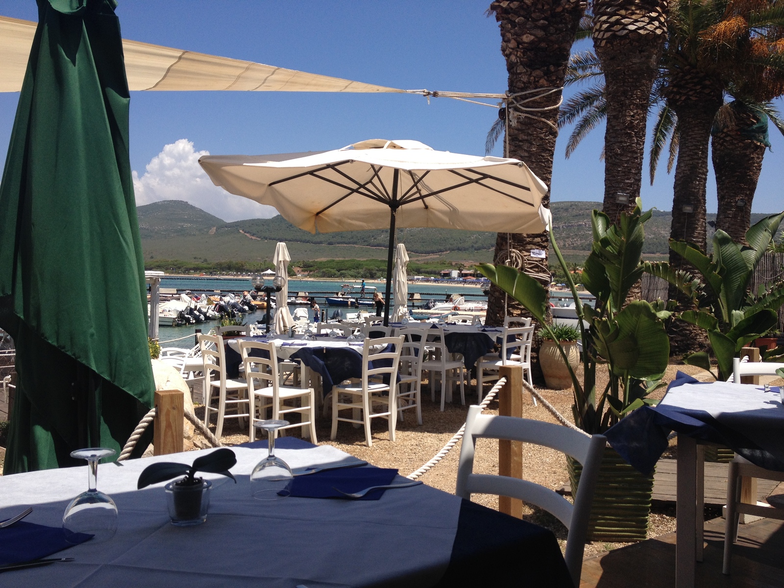 รูปถ่าย อิตาลี(Italy) ซาร์ดิเนีย(Sardinia) อัลเกโร(Alghero) 2015-06 47