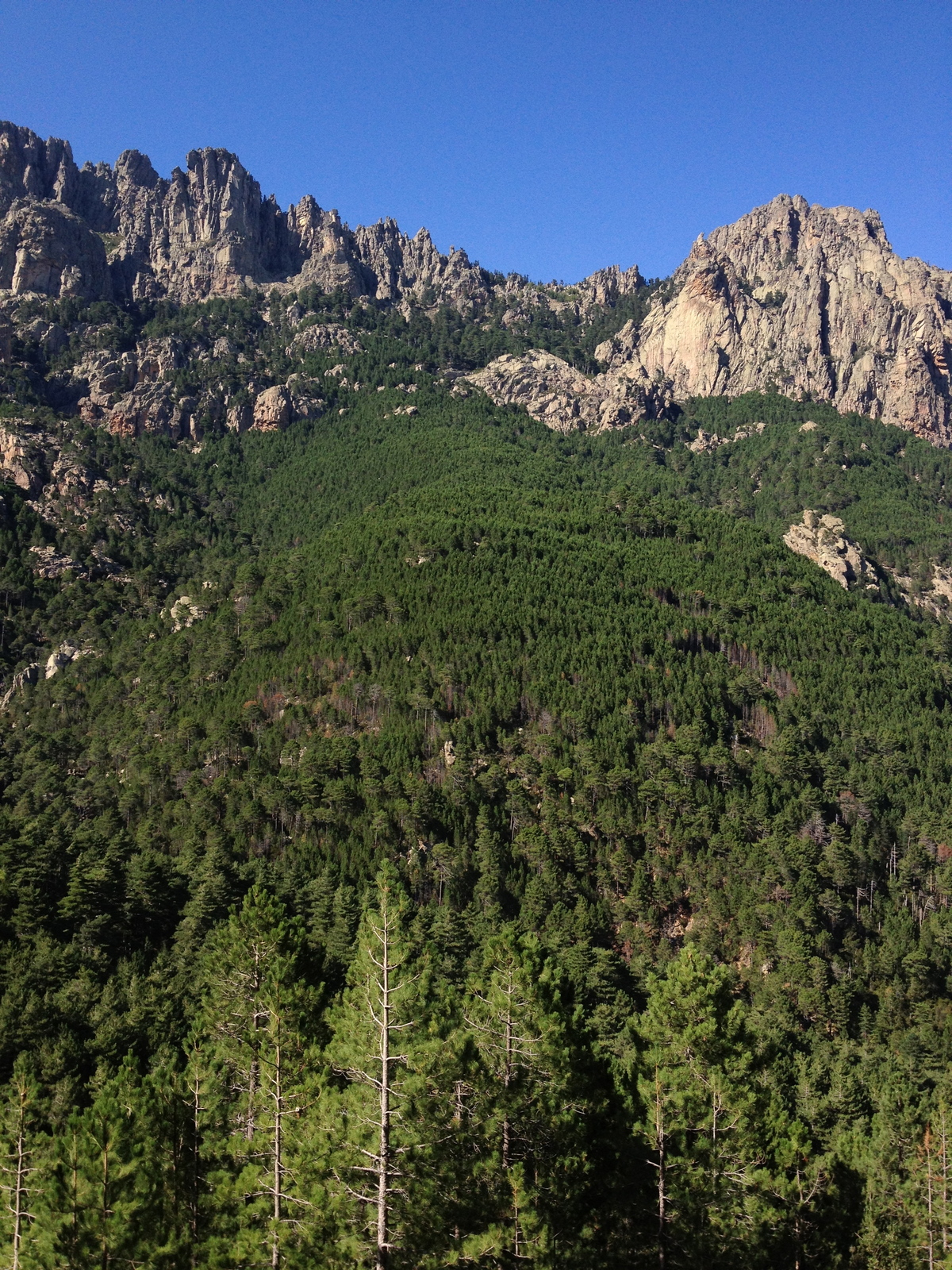 รูปถ่าย ฝรั่งเศส(France) คอร์สิคา(Corsica) บาแวลลา(Bavella) 2012-09 25