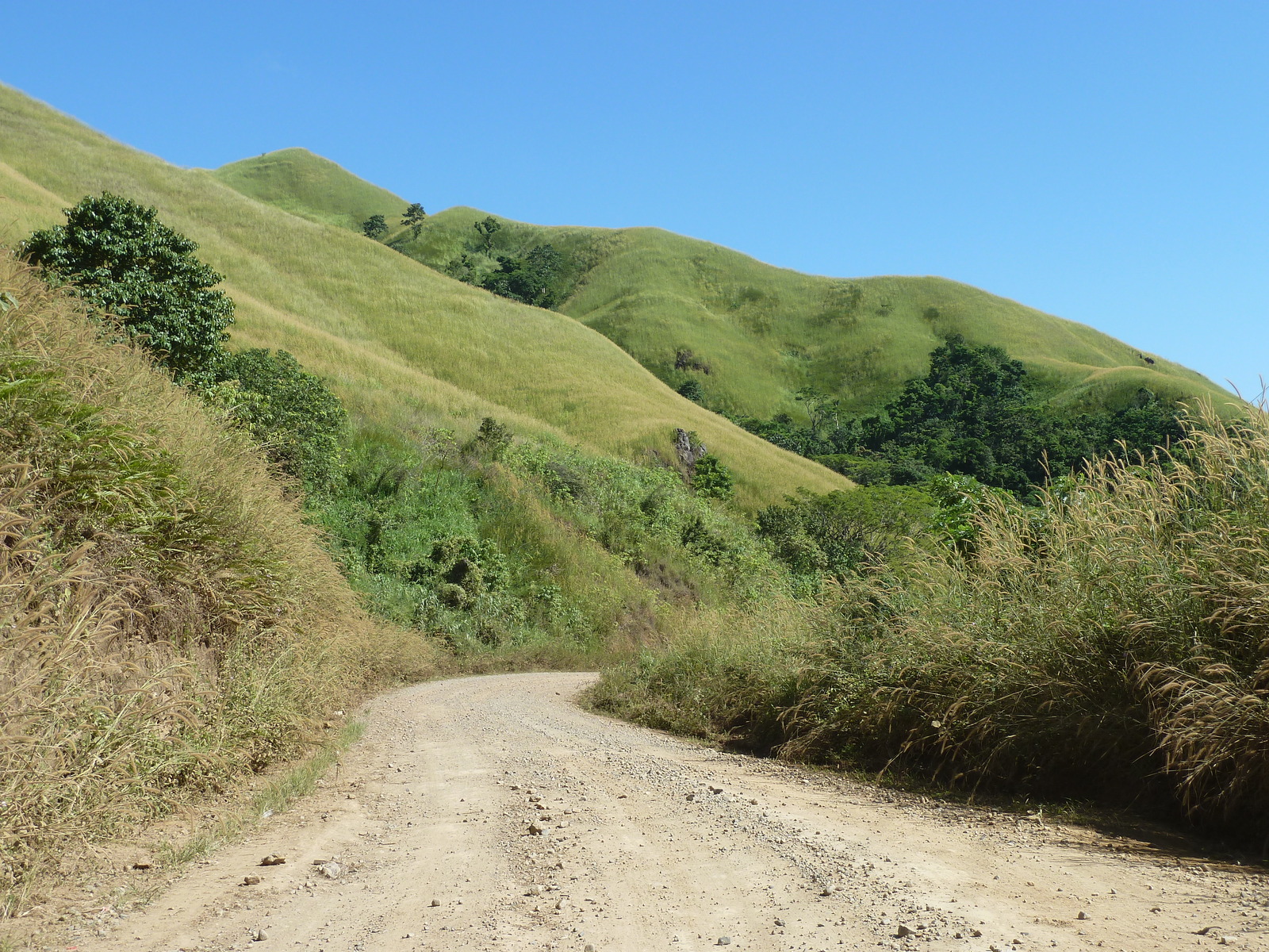 รูปถ่าย ฟิจิ(Fiji) 2010-05 111