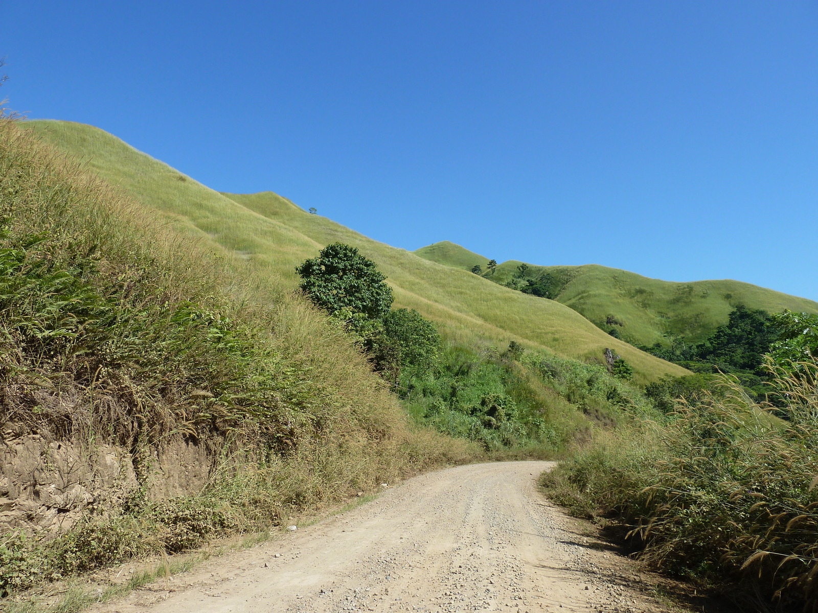 รูปถ่าย ฟิจิ(Fiji) แม่น้ำซิงกาโตกา(Sigatoka river) 2010-05 96