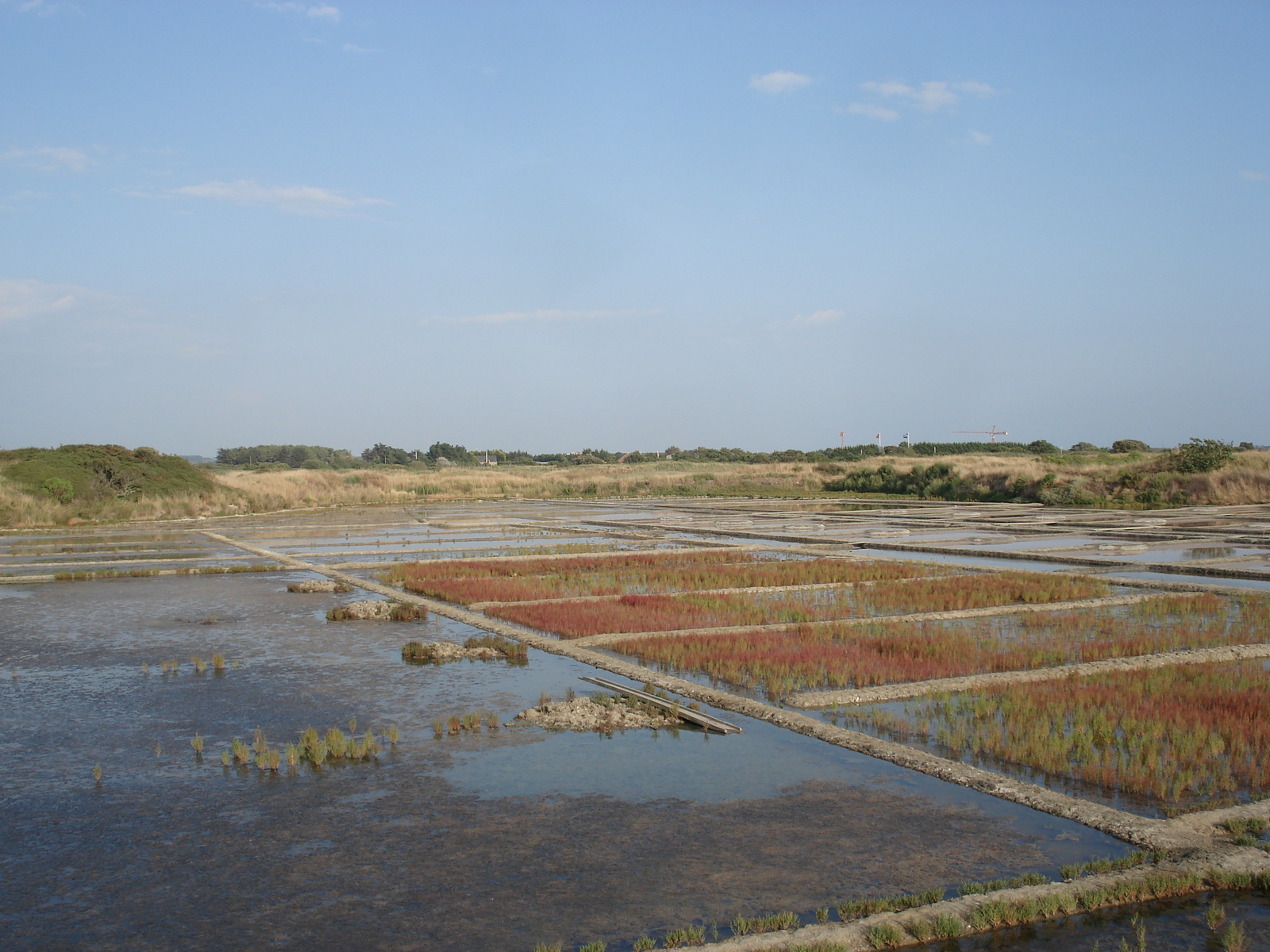 รูปถ่าย ฝรั่งเศส(France) เกรองเดอ(Guerande) 2006-08 12