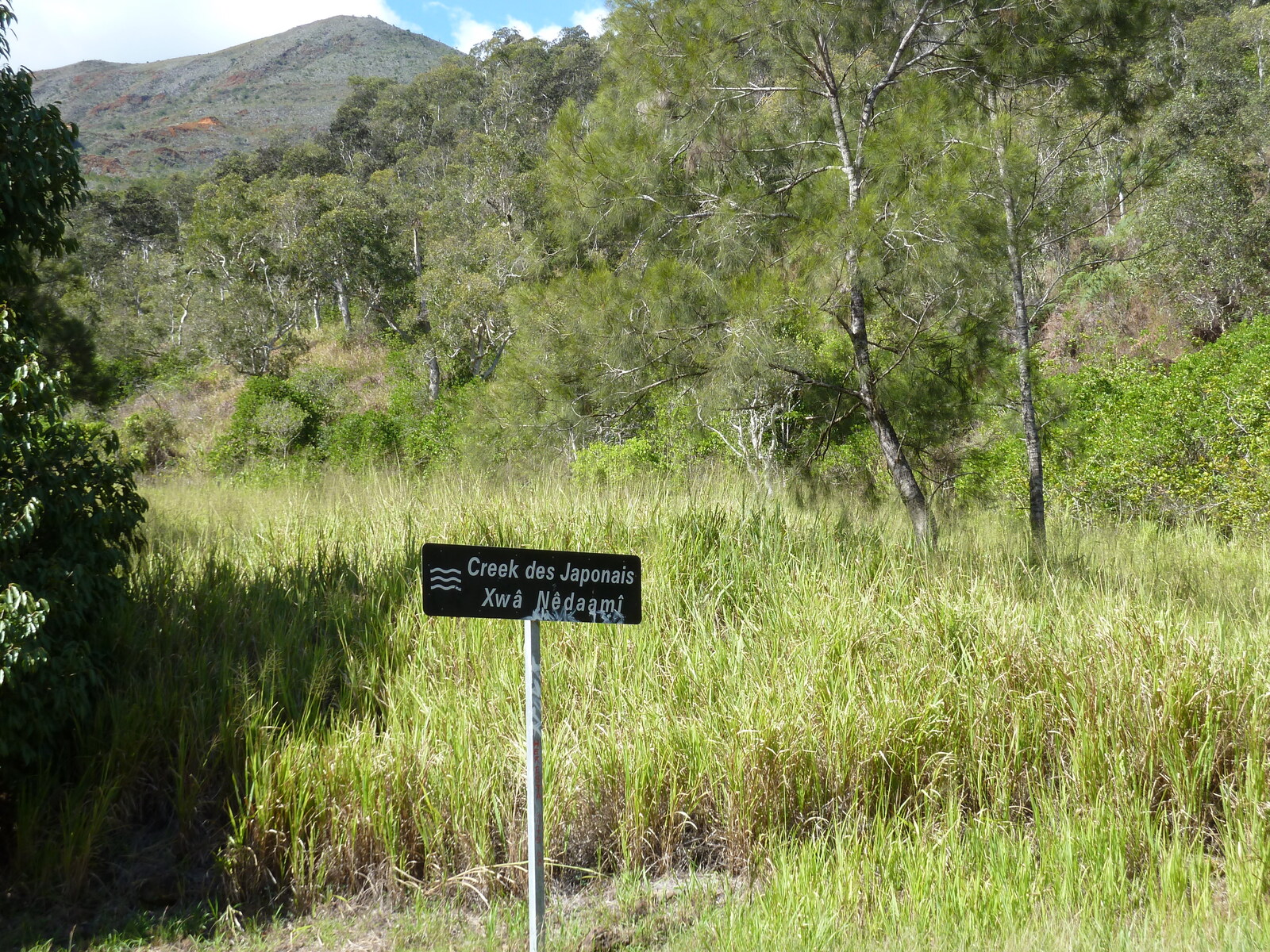 รูปถ่าย นิวแคลิโดเนีย(New Caledonia) ถนนจากตงตูตาไปทีโอ(Tontouta to Thio road) 2010-05 111