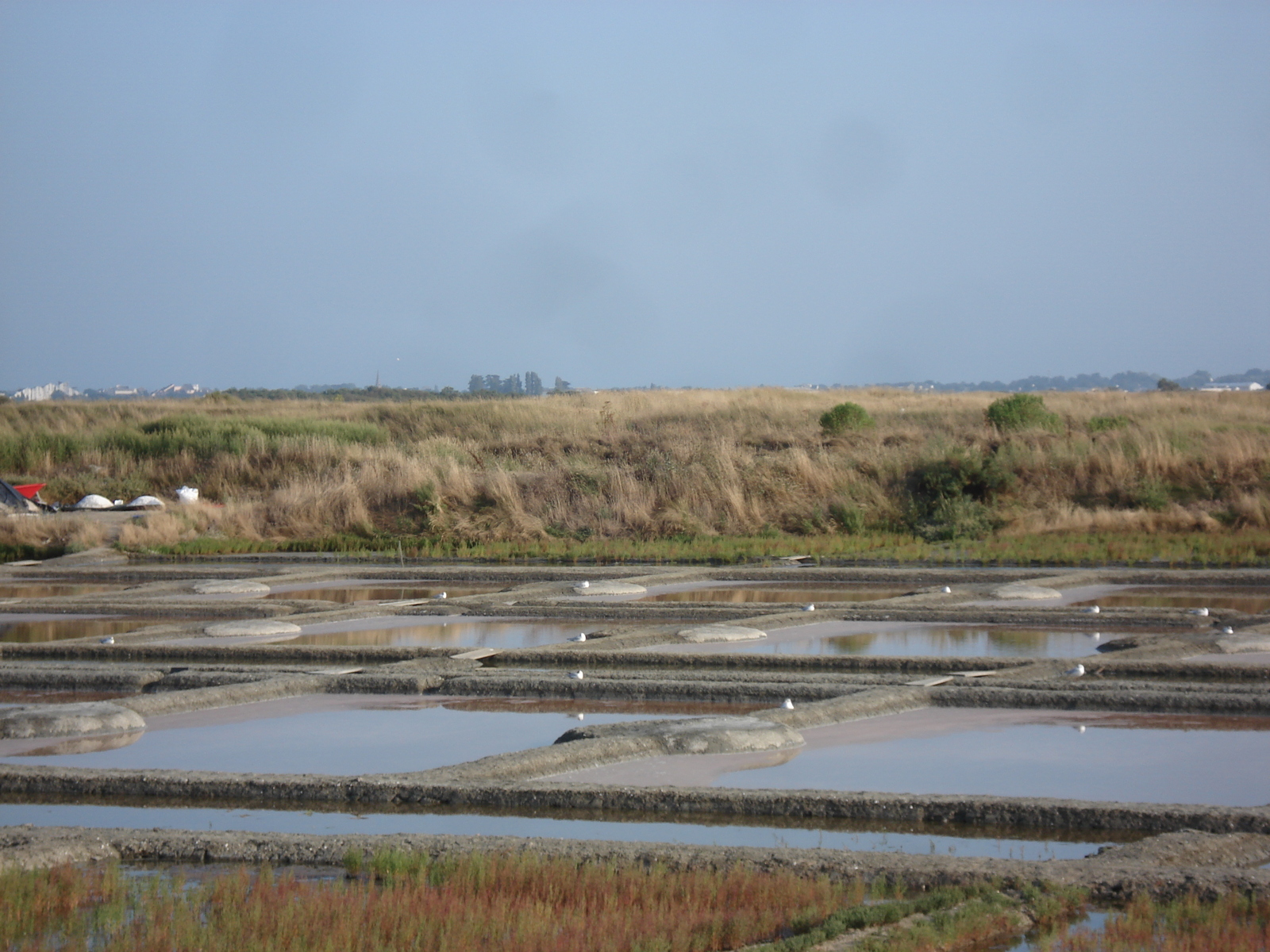 รูปถ่าย ฝรั่งเศส(France) เกรองเดอ(Guerande) 2006-08 11