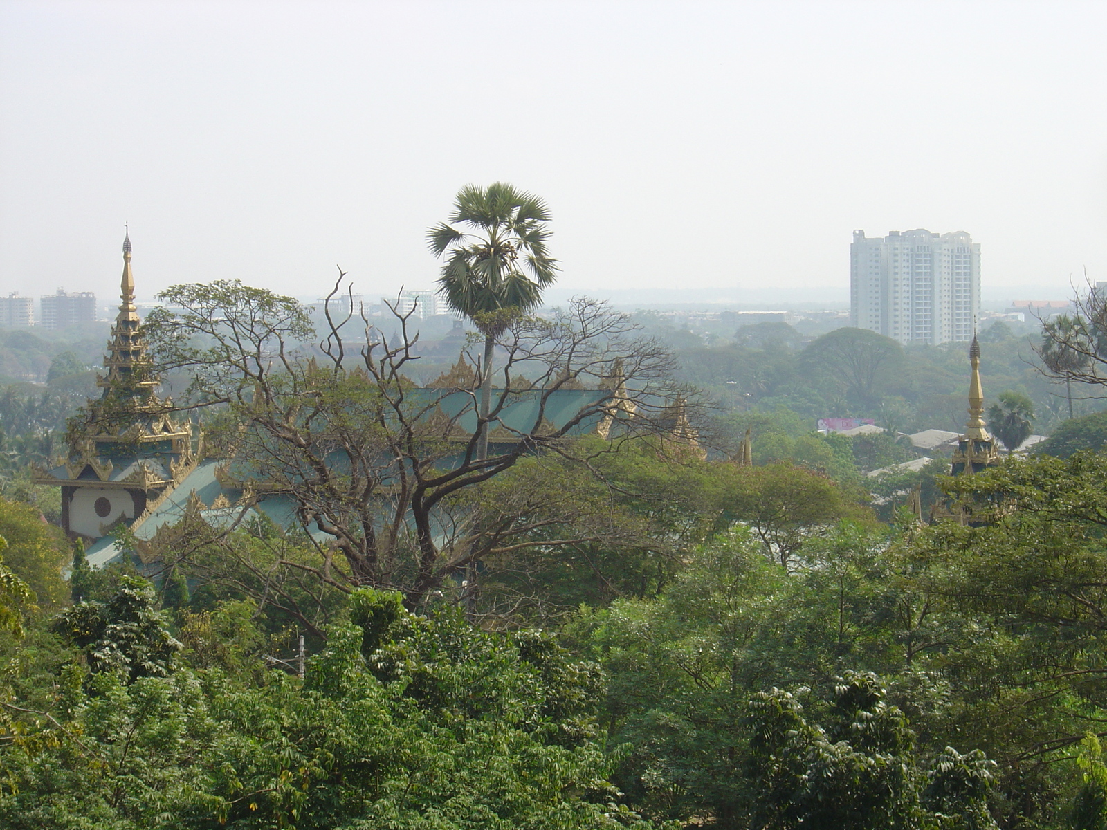 รูปถ่าย พม่า(Myanmar) ย่างกุ้ง(Yangon) พระมหาเจดีย์ชเวกากอง(Shwedagon Pagoda) 2005-01 38