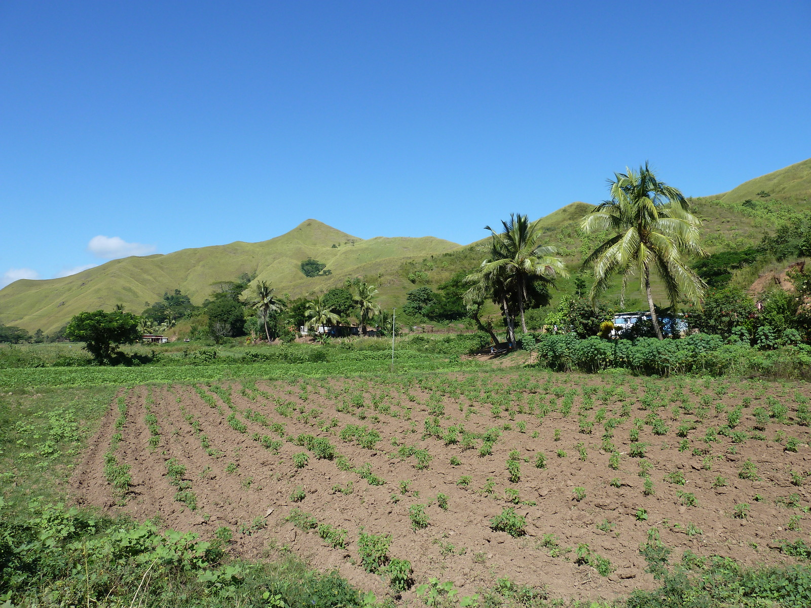 รูปถ่าย ฟิจิ(Fiji) แม่น้ำซิงกาโตกา(Sigatoka river) 2010-05 34