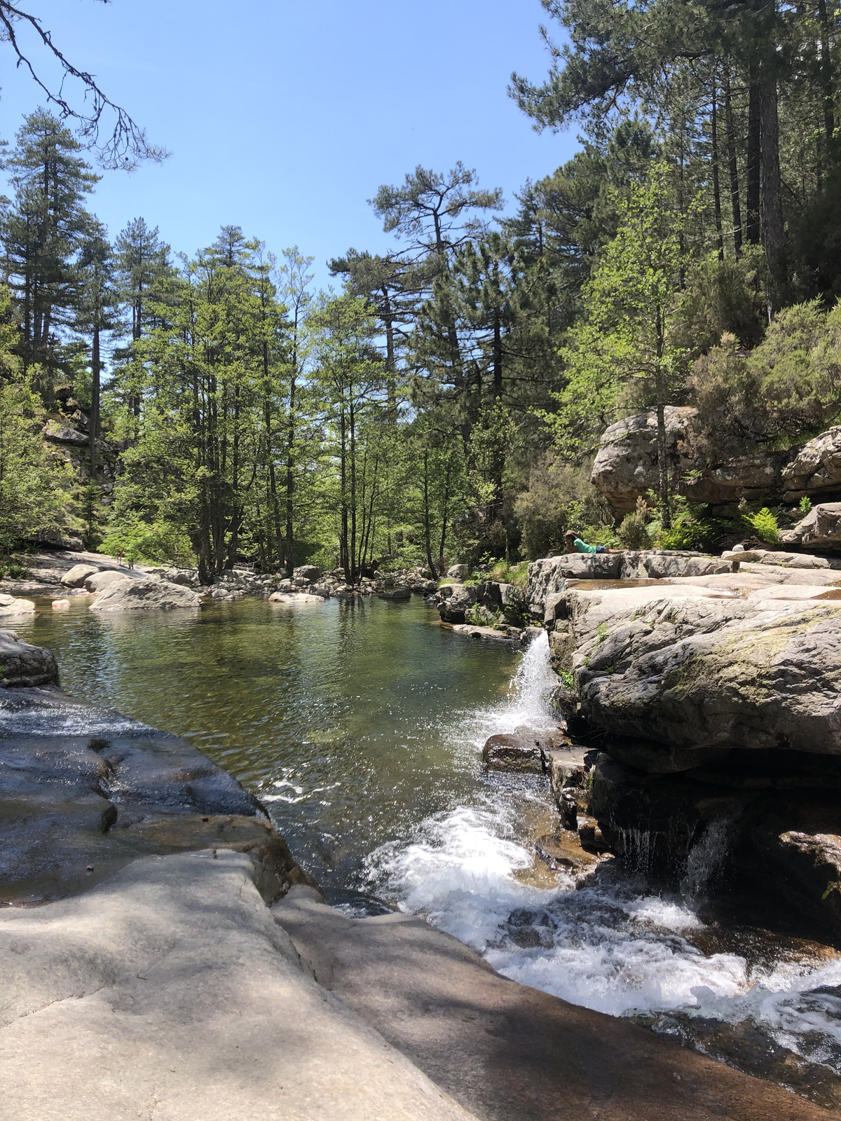 รูปถ่าย ฝรั่งเศส(France) คอร์สิคา(Corsica) ป่าไอโตเน(Aitone Forest) 2021-06 32