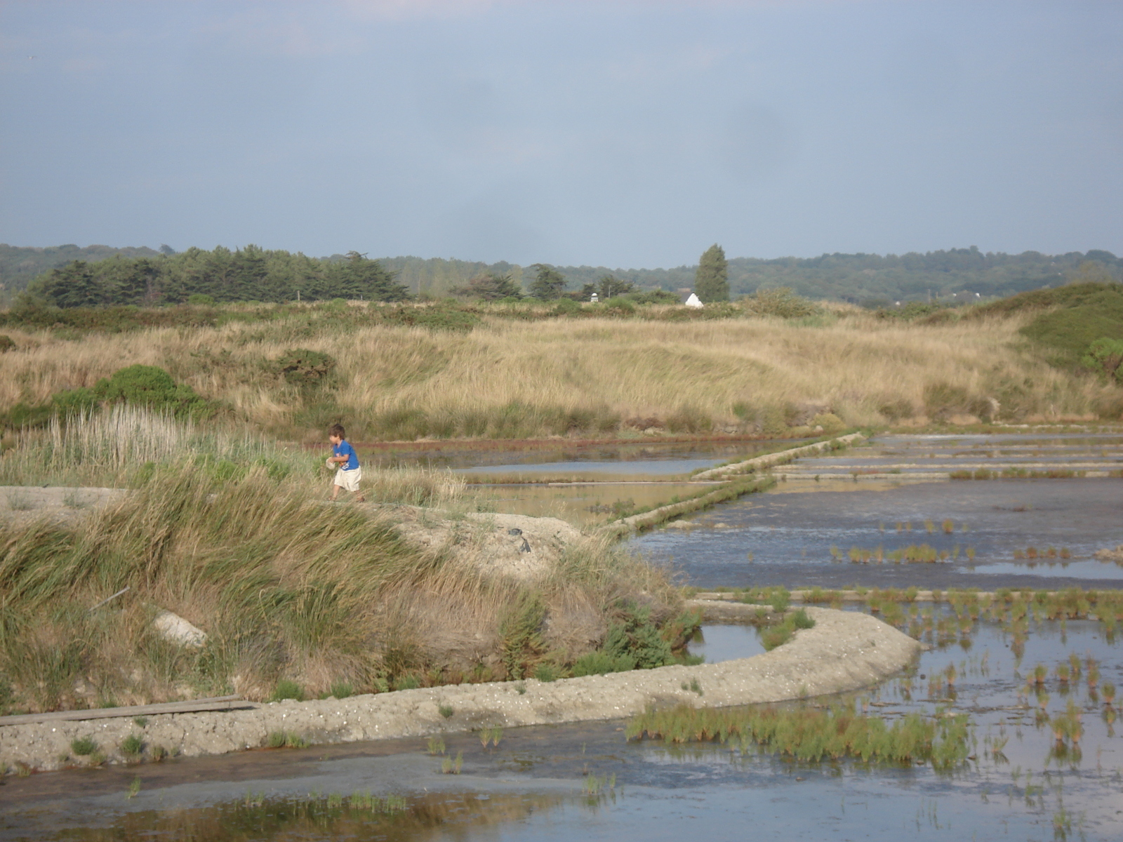 รูปถ่าย ฝรั่งเศส(France) เกรองเดอ(Guerande) 2006-08 4