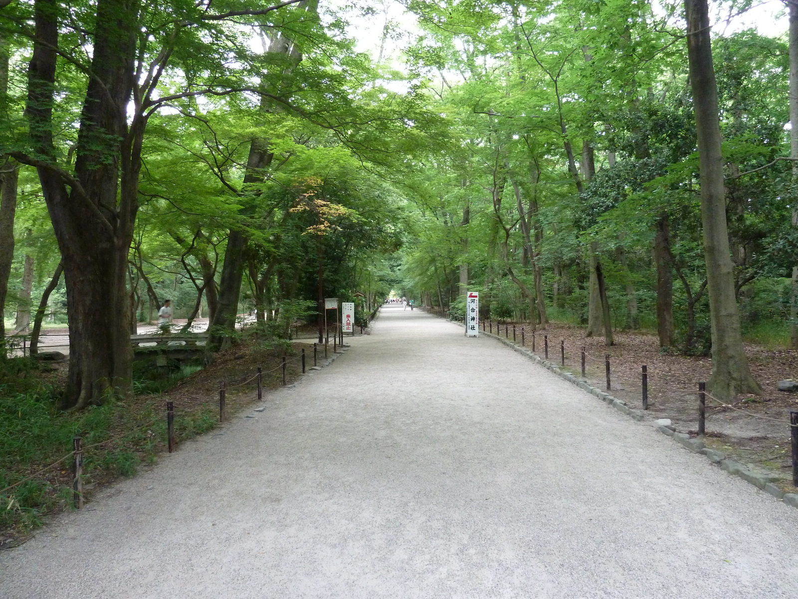 รูปถ่าย ญี่ปุ่น(Japan) เกียวโต(Kyoto) ศาลเจ้าคาโมะมิโอยะ (ศาลเจ้าชิโมะงาโมะ)(Kamomioya Shrine(Shimogamo Shrine)) 2010-06 31