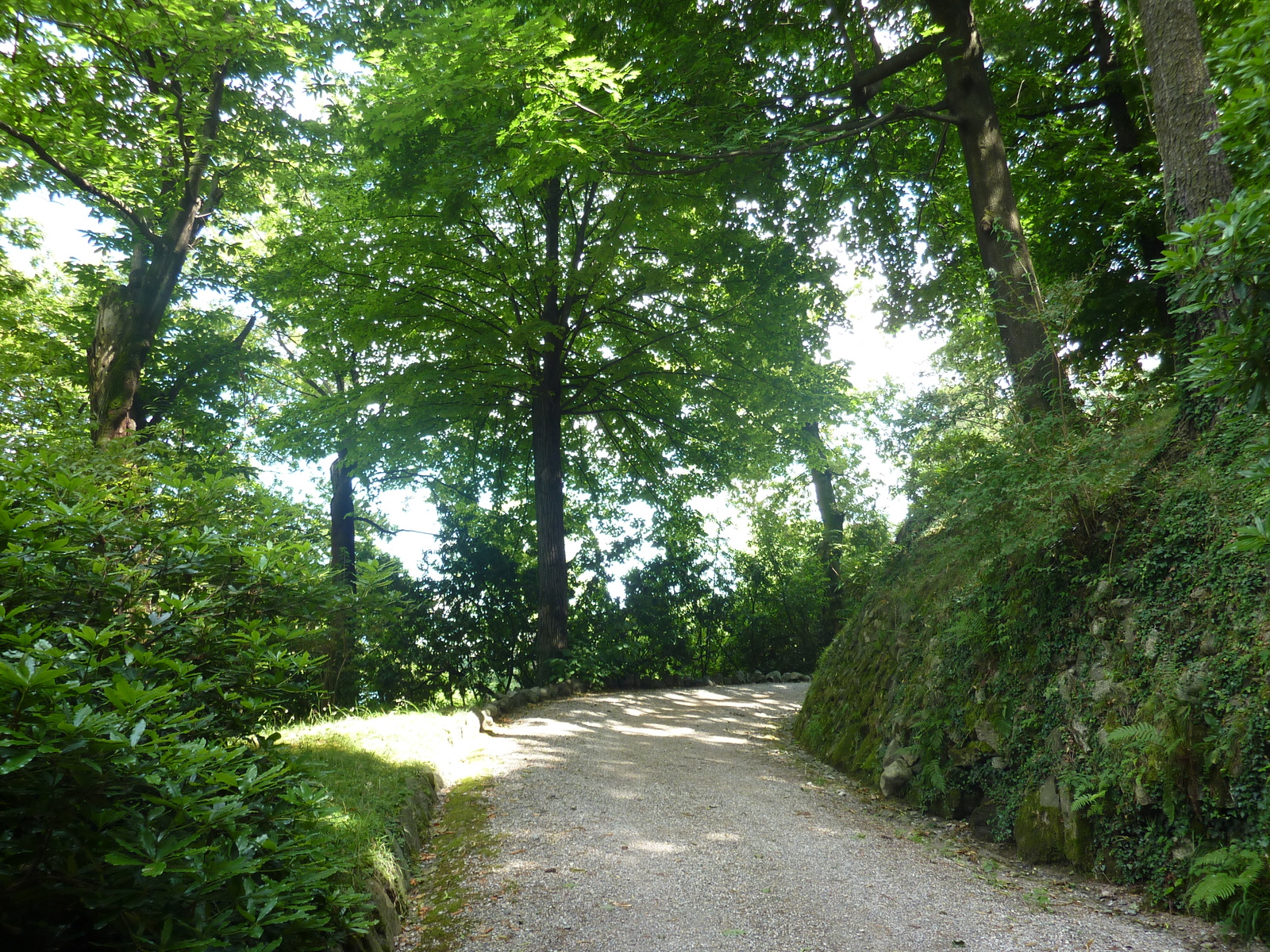 รูปถ่าย อิตาลี(Italy) วิลลาปัลลาวีชีโน(Villa Pallavicino) 2009-06 34