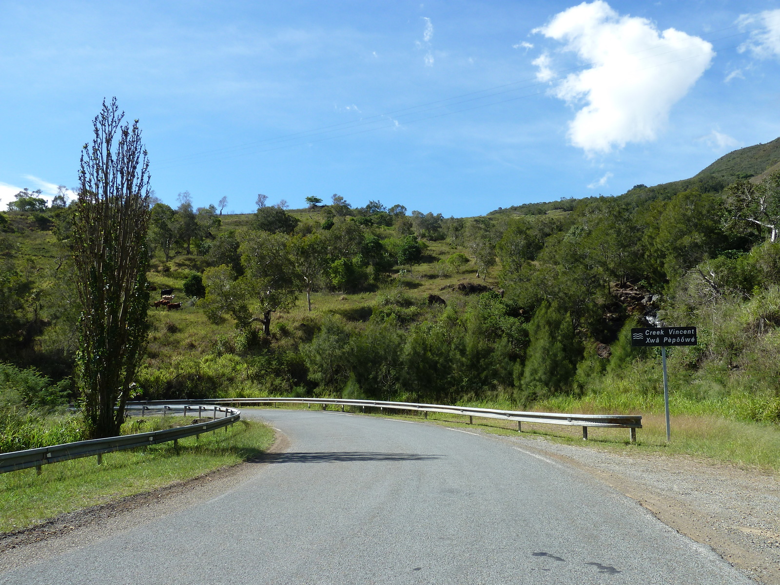 รูปถ่าย นิวแคลิโดเนีย(New Caledonia) ถนนจากตงตูตาไปทีโอ(Tontouta to Thio road) 2010-05 14