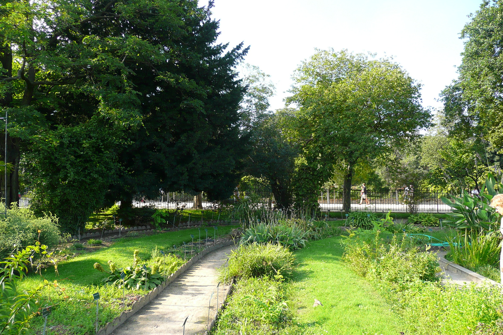 รูปถ่าย ฝรั่งเศส(France) ปารีส(Paris) สวนพันธ์ุพืช(Jardin des Plantes) 2007-08 86