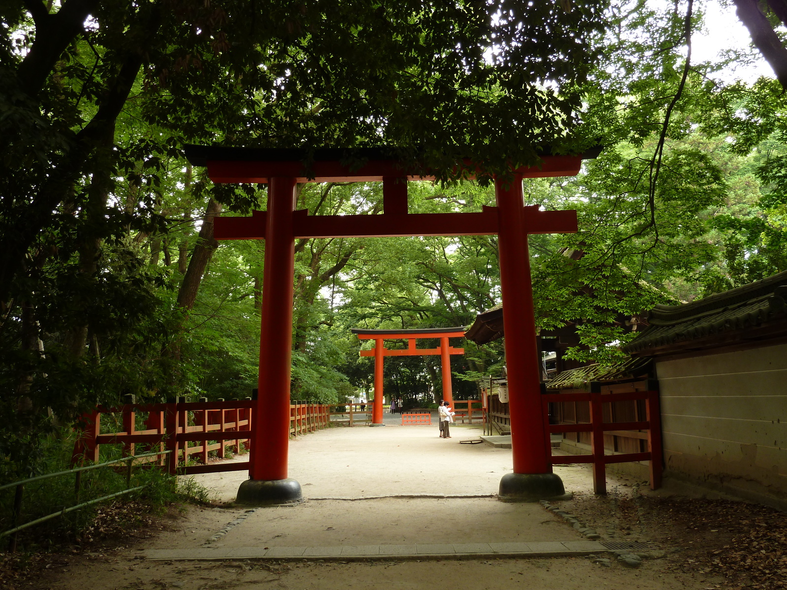 รูปถ่าย ญี่ปุ่น(Japan) เกียวโต(Kyoto) ศาลเจ้าคาโมะมิโอยะ (ศาลเจ้าชิโมะงาโมะ)(Kamomioya Shrine(Shimogamo Shrine)) 2010-06 16