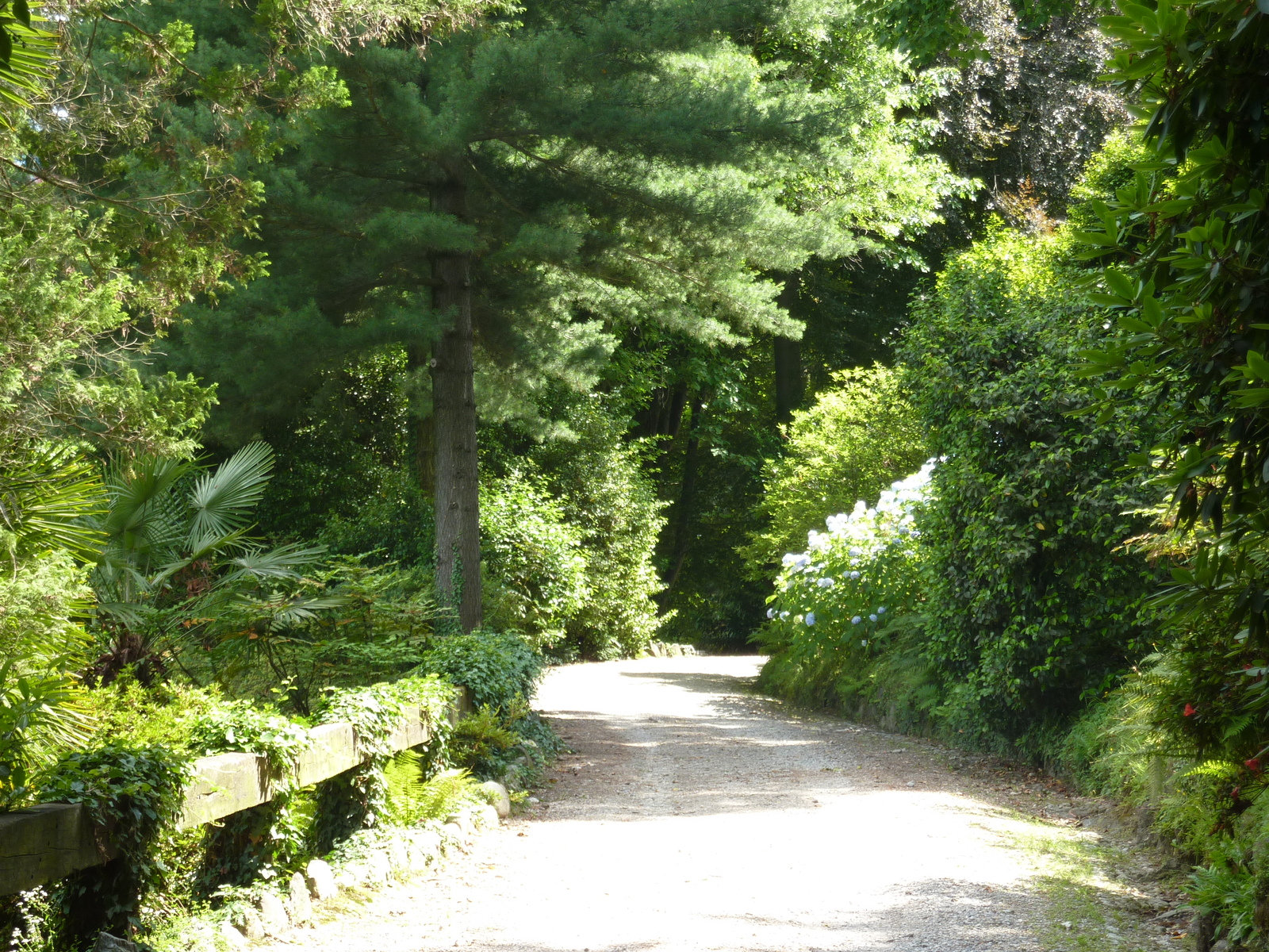 รูปถ่าย อิตาลี(Italy) วิลลาปัลลาวีชีโน(Villa Pallavicino) 2009-06 82